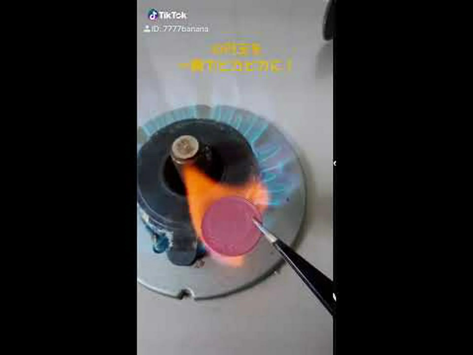 塩電解によるプールの処理 塩電解によるプールの処理