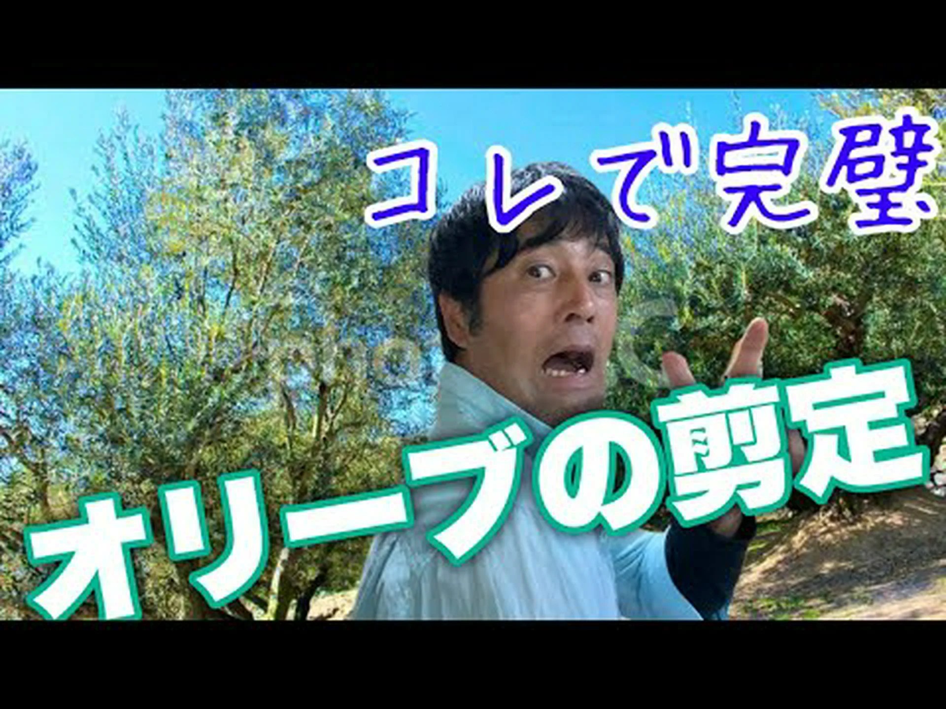 オリーブの木のさまざまな剪定方法 オリーブの木のさまざまな剪定方法