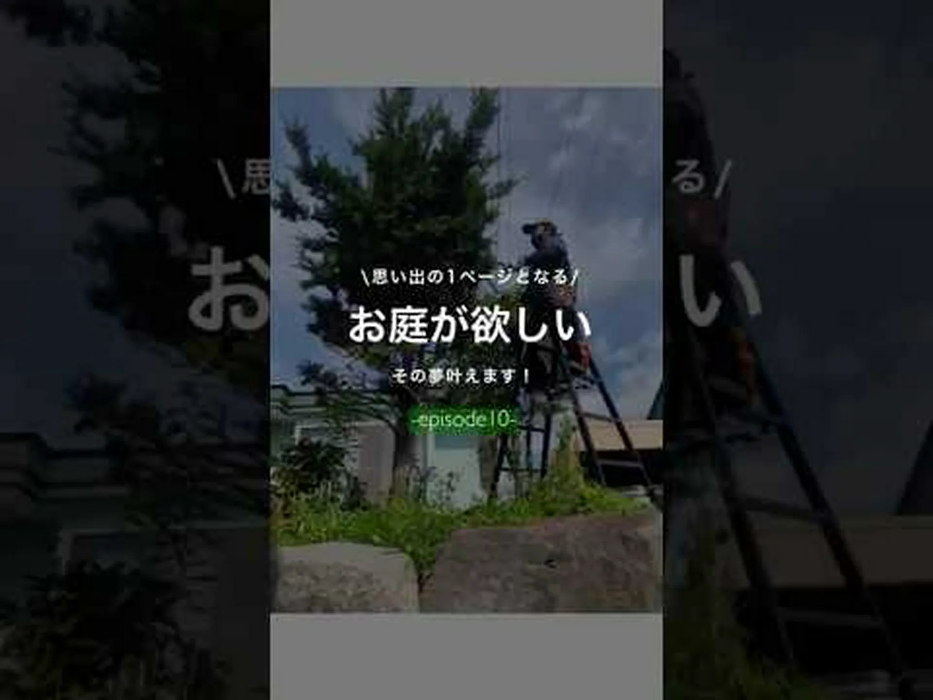 庭師にとって便利なツール、ビルフック 庭師にとって便利なツール、ビルフック