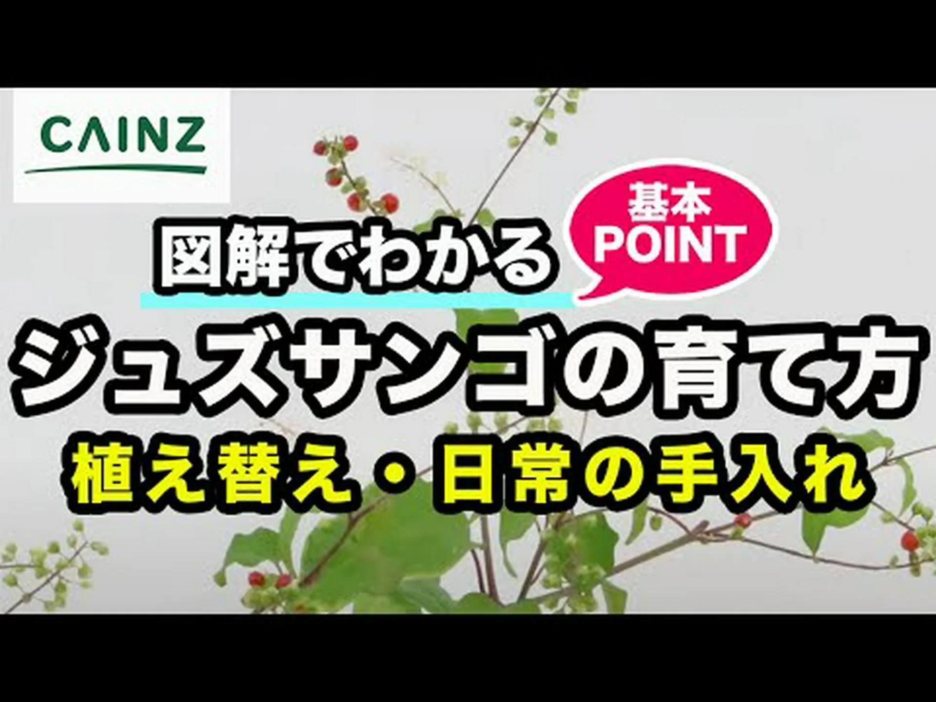 レンギョウ、ガエナリ、ゴールデンサンゴ レンギョウ、ガエナリ、ゴールデンサンゴ