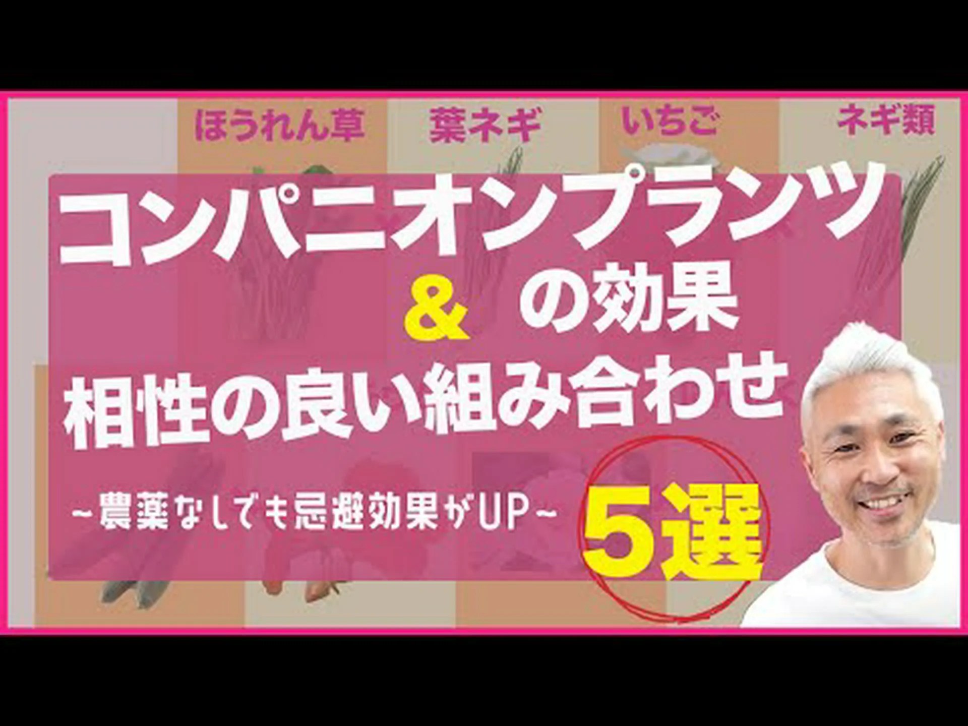 良い植物の組み合わせ 良い植物の組み合わせ