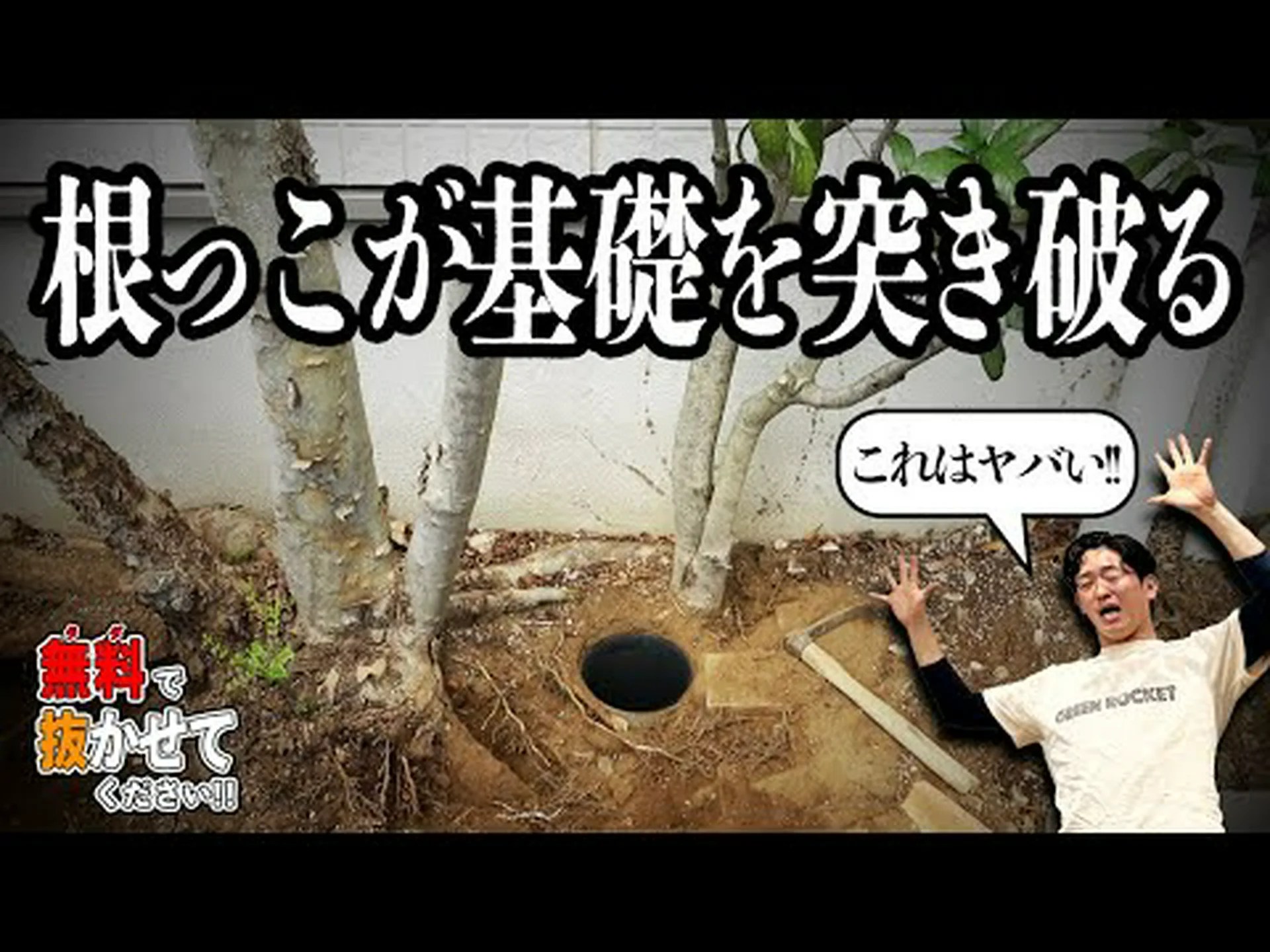 無事に木を植えることができました 無事に木を植えることができました