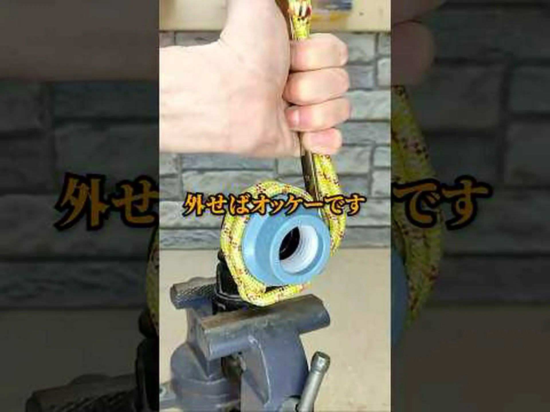 シーバックソーン、シーバックソーン、シャイニングソーン、グリセット、偽クロウメモドキ シーバックソーン、シーバックソーン、シャイニングソーン、グリセット、偽クロウメモドキ