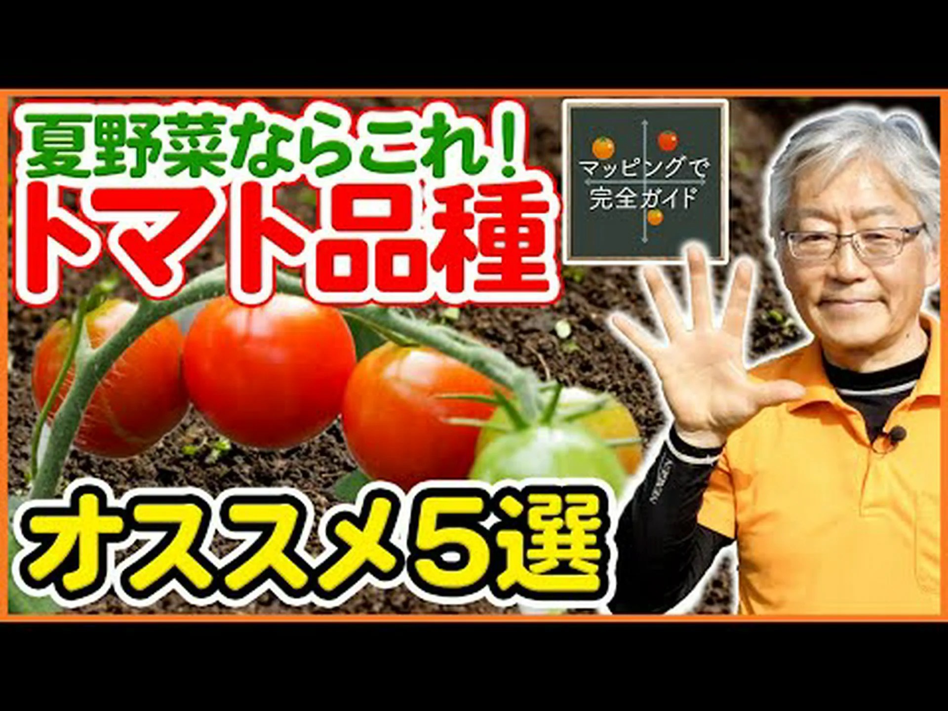 赤いトマトの品種 赤いトマトの品種