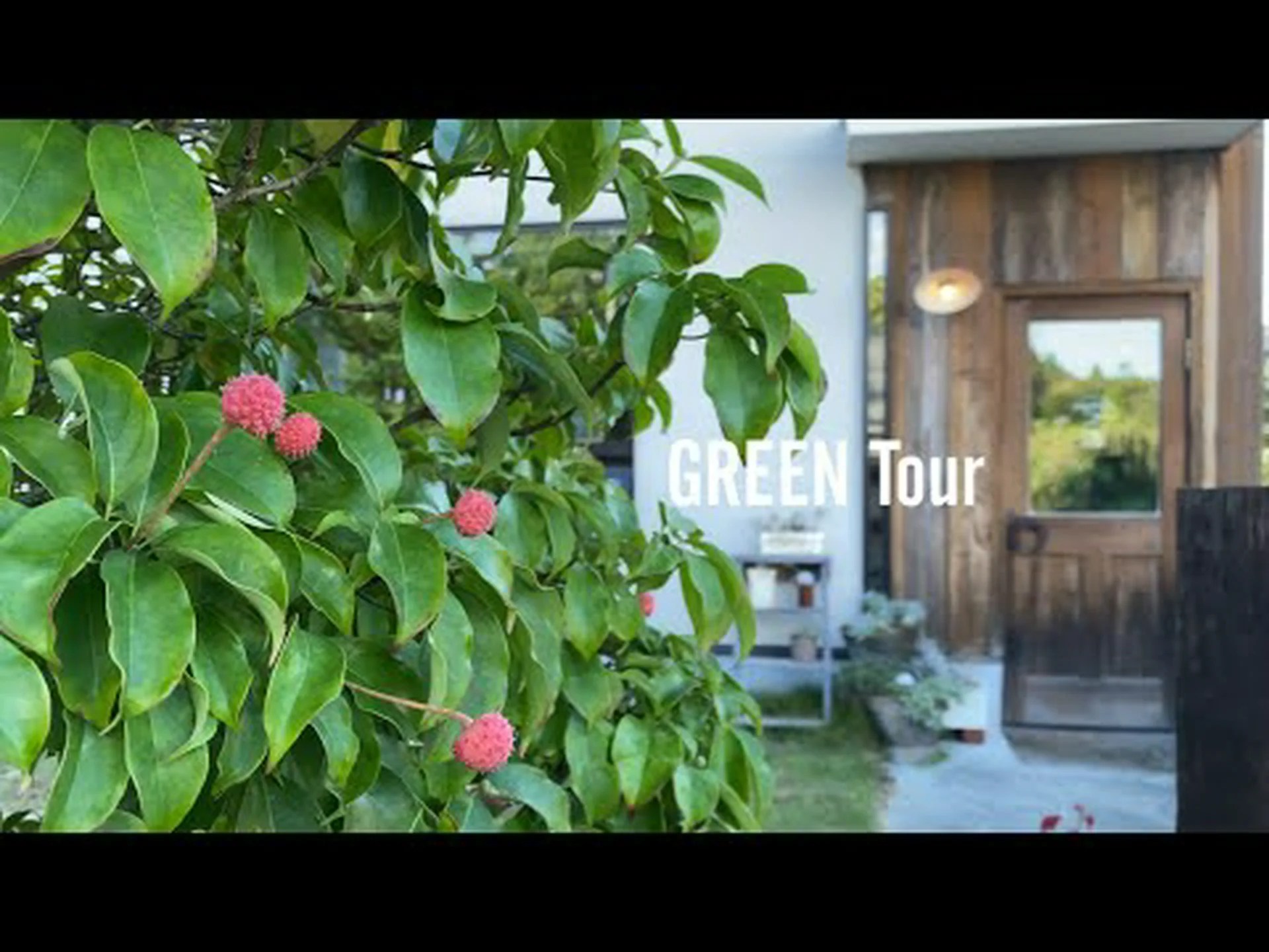 庭の新しい素材 庭の新しい素材