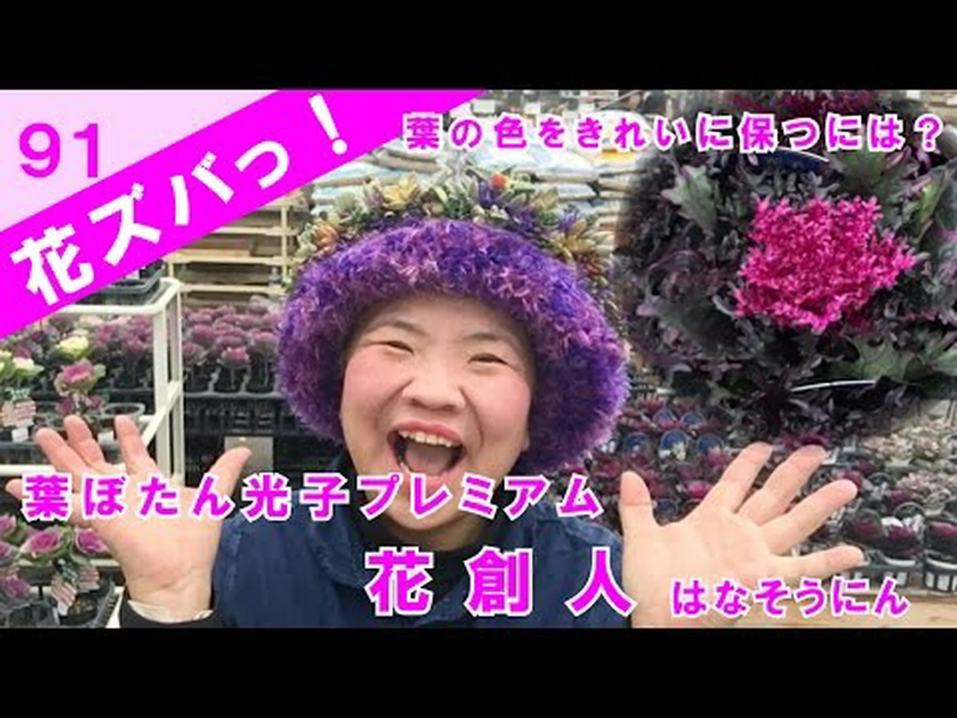 散形花序のオルニソガレ、11時の貴婦人 散形花序のオルニソガレ、11時の貴婦人