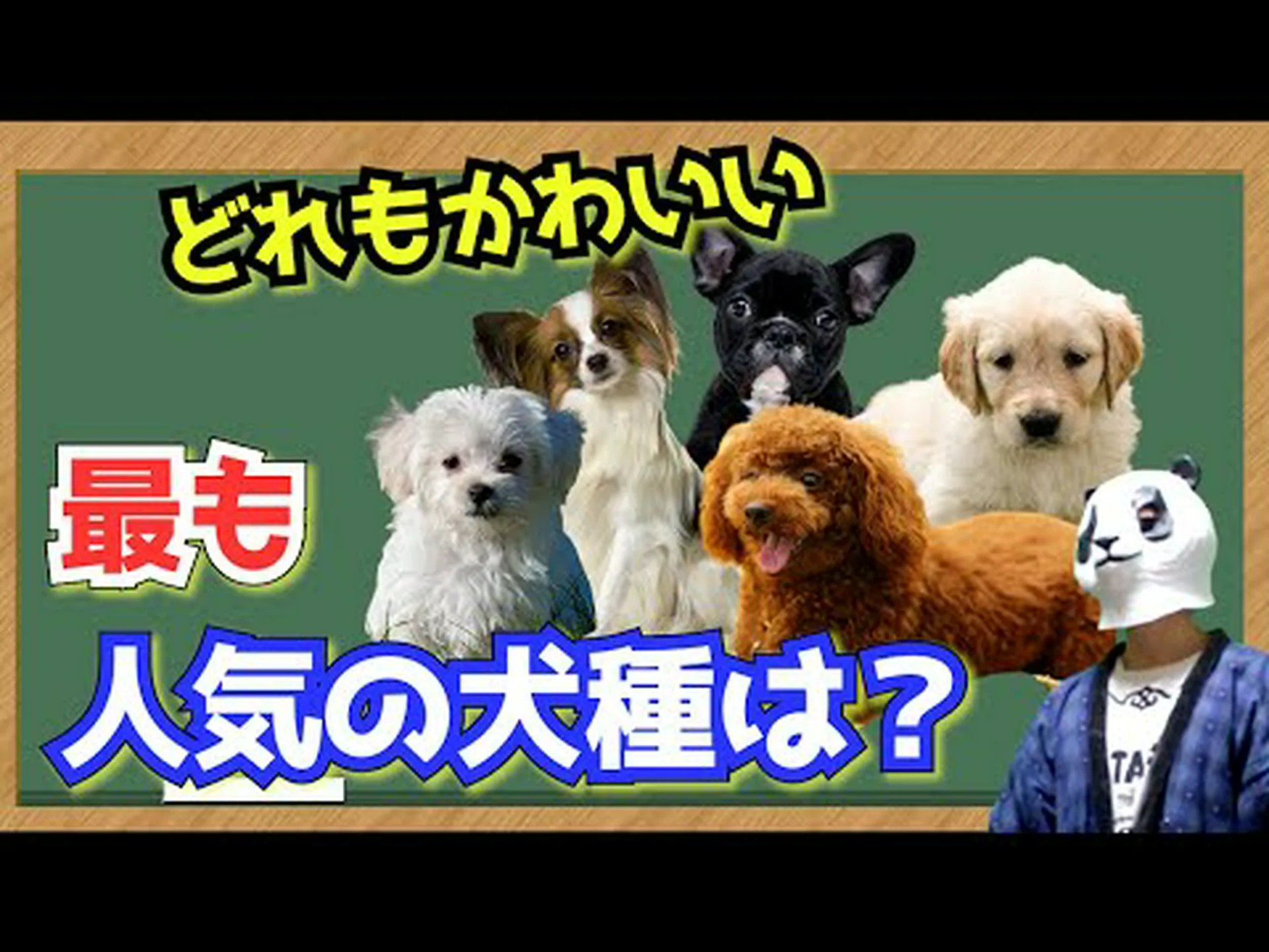 最も人気のある犬種 最も人気のある犬種