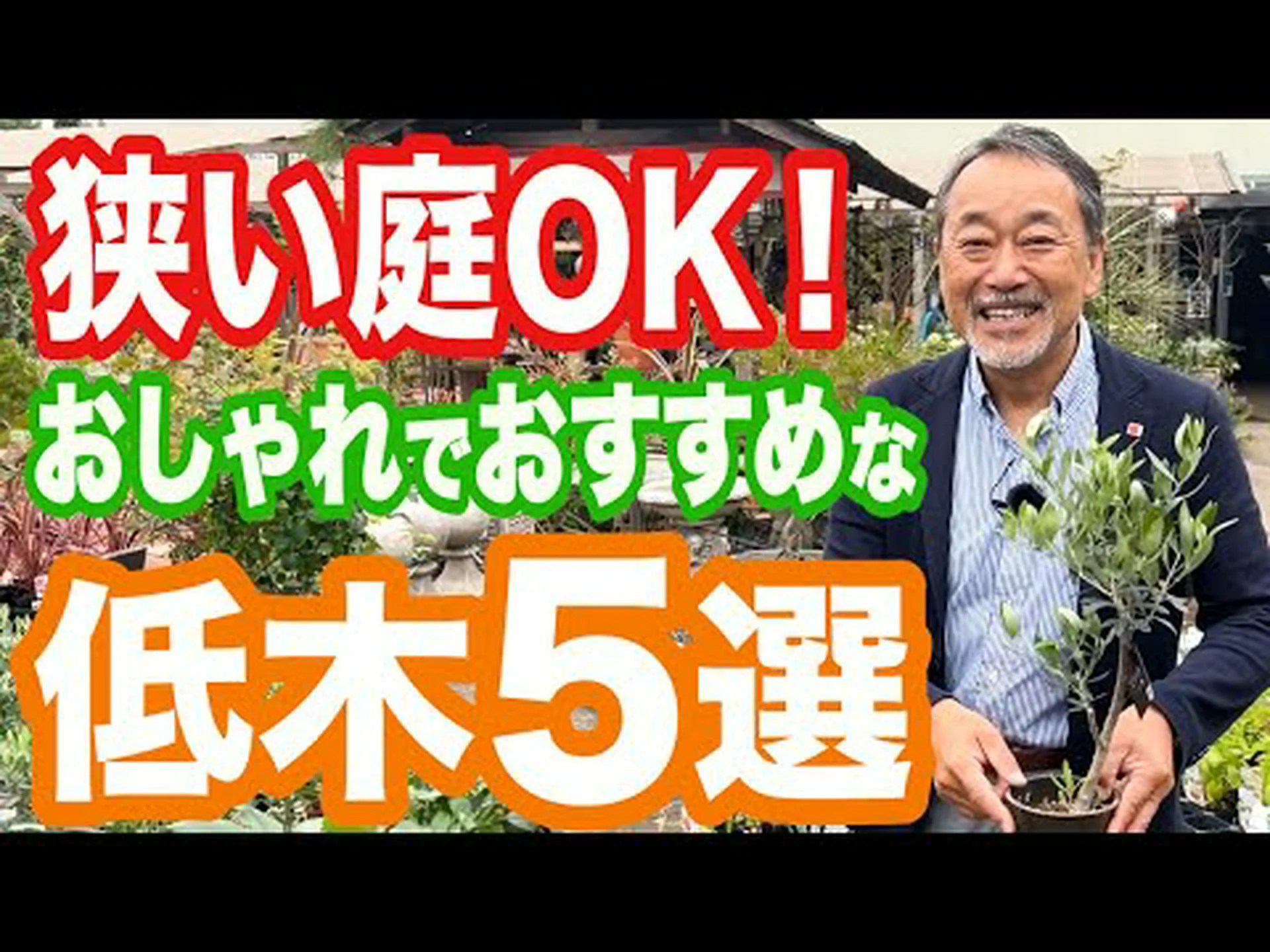 低刺激性の庭園 低刺激性の庭園