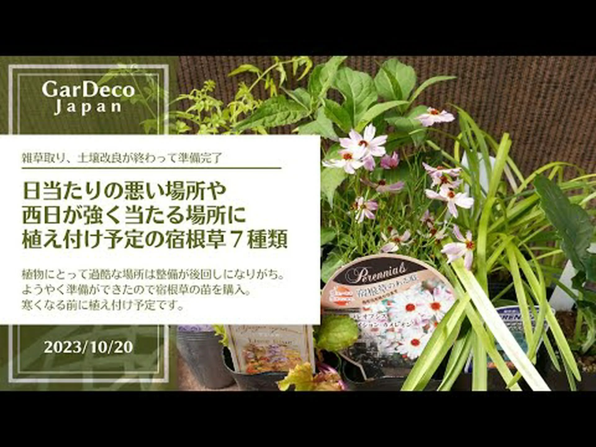 適切な場所にある植物 適切な場所にある植物