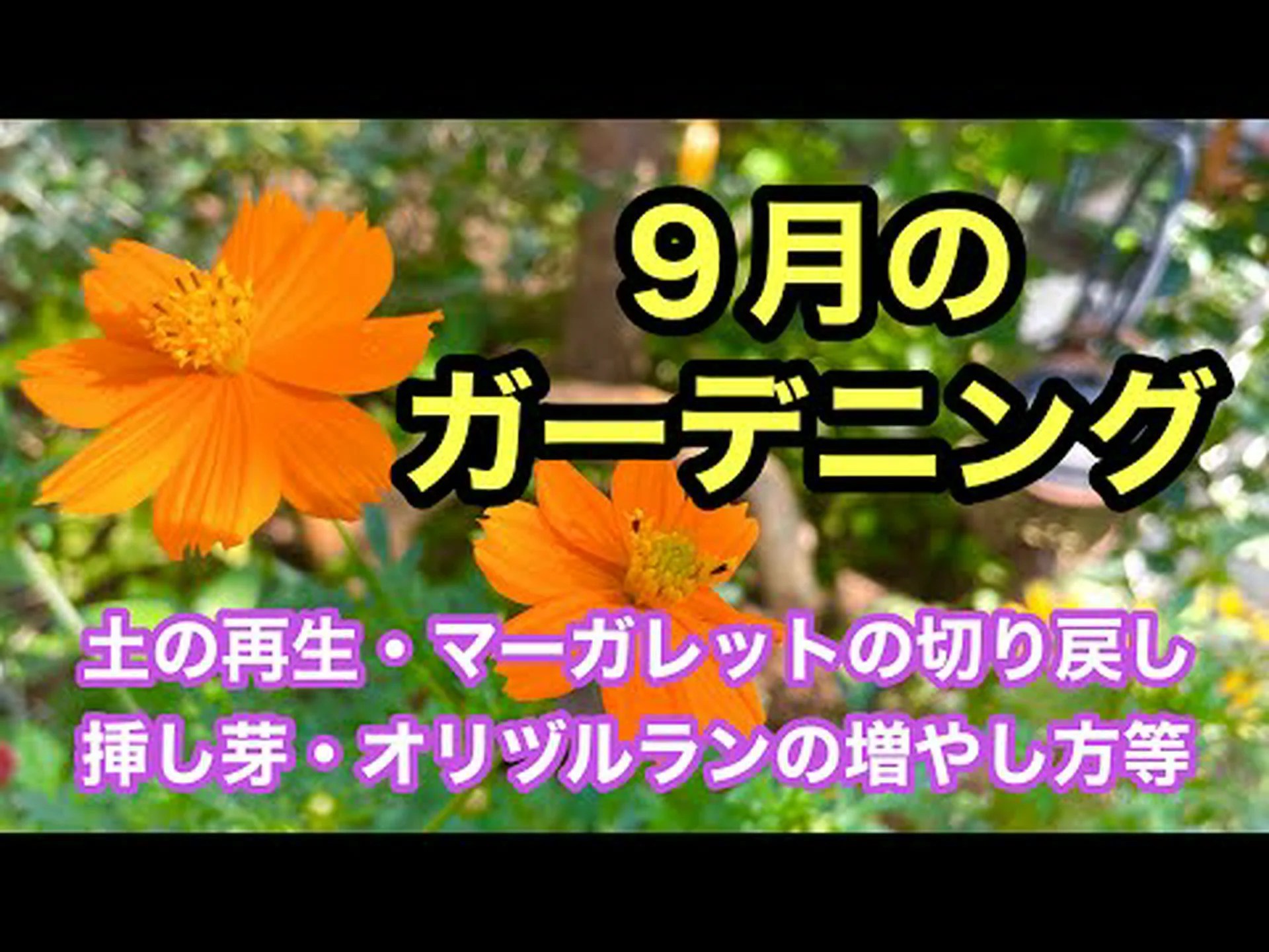 月と一緒にガーデニング 月と一緒にガーデニング