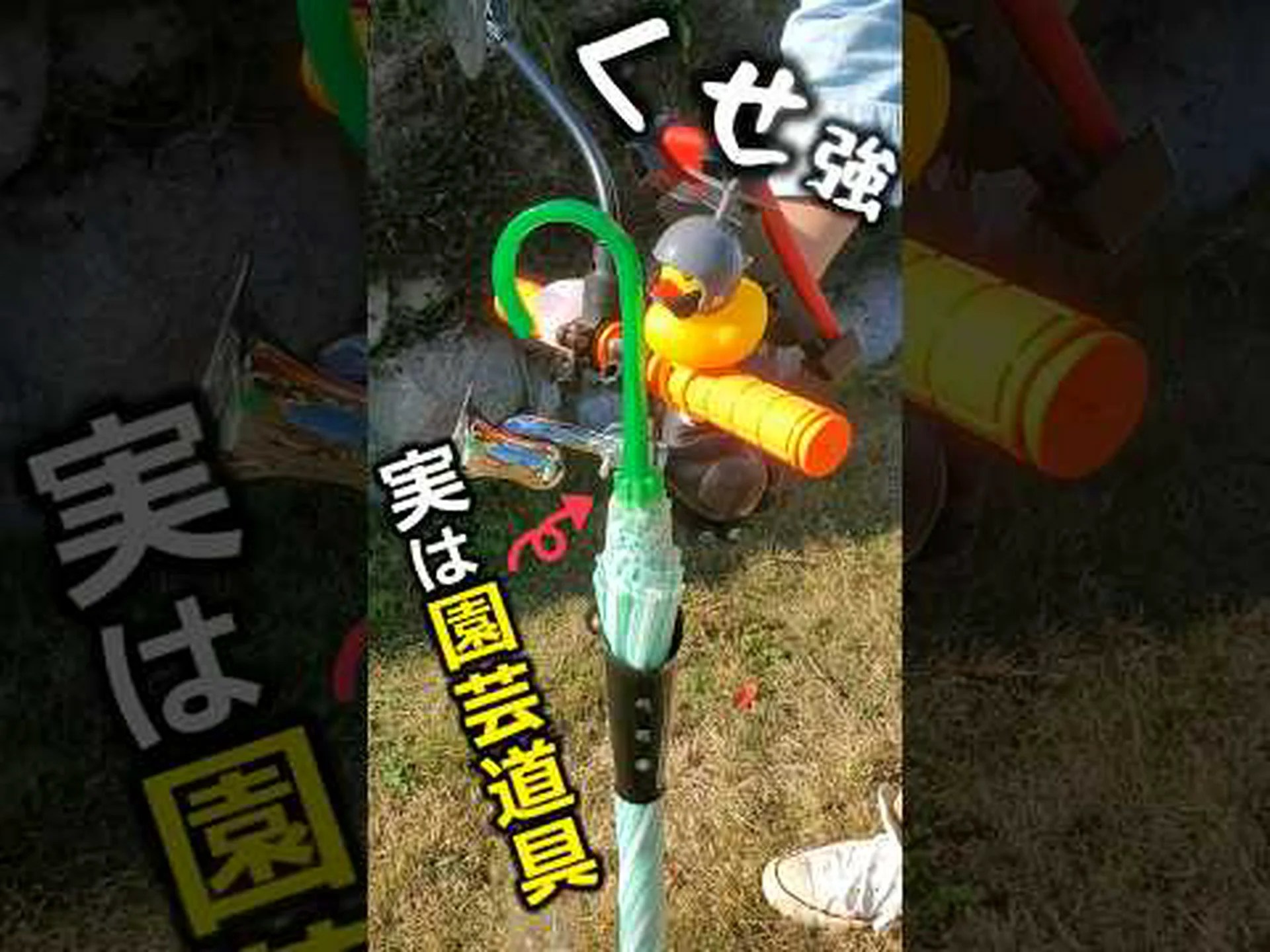 自然を庭に招き入れる 自然を庭に招き入れる