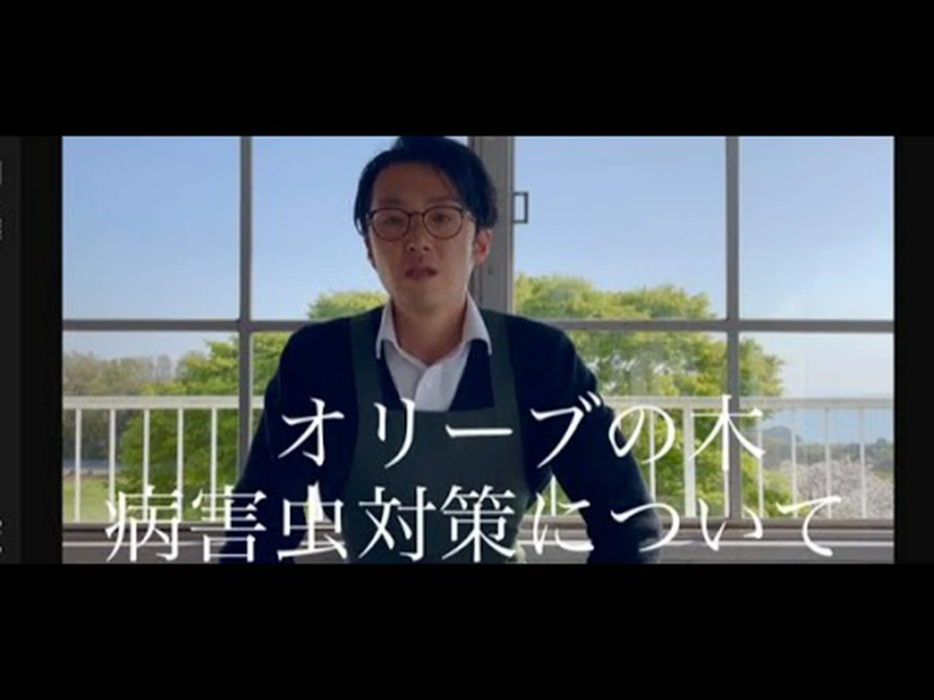 オリーブの木の病気 オリーブの木の病気