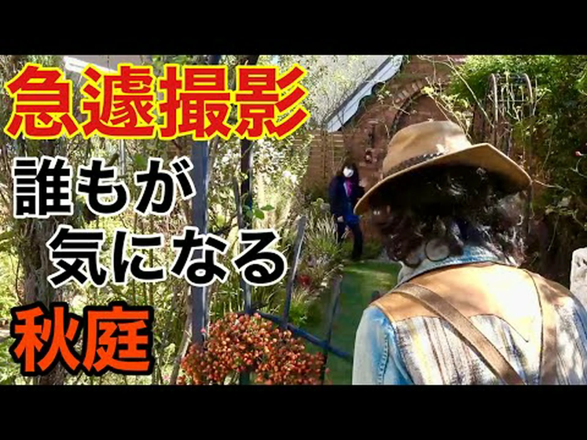 魔女たちの輪 魔女たちの輪