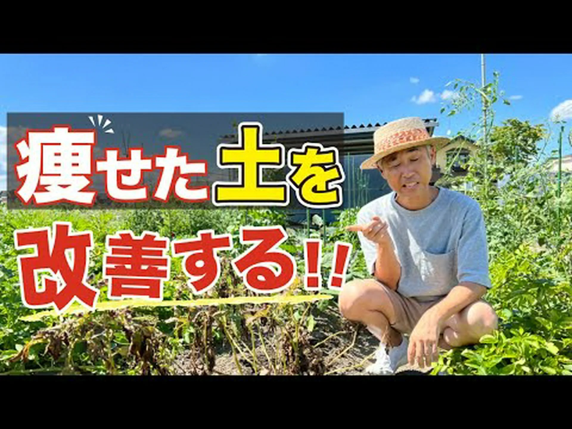 痩せた土壌をどう改善するか? 痩せた土壌をどう改善するか?