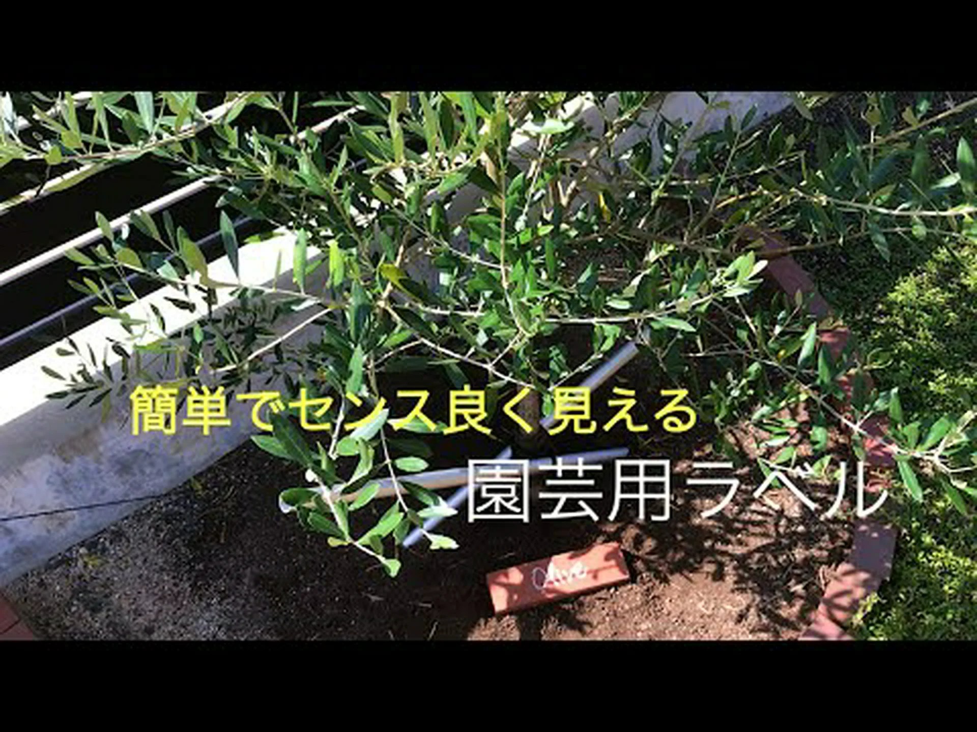 園芸植物用ラベル 園芸植物用ラベル