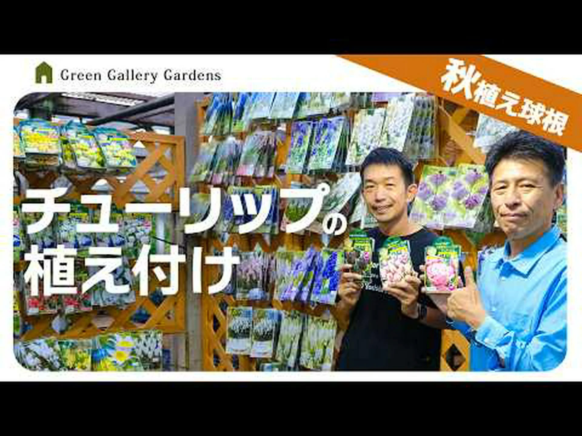 成長と維持が簡単な球根 成長と維持が簡単な球根