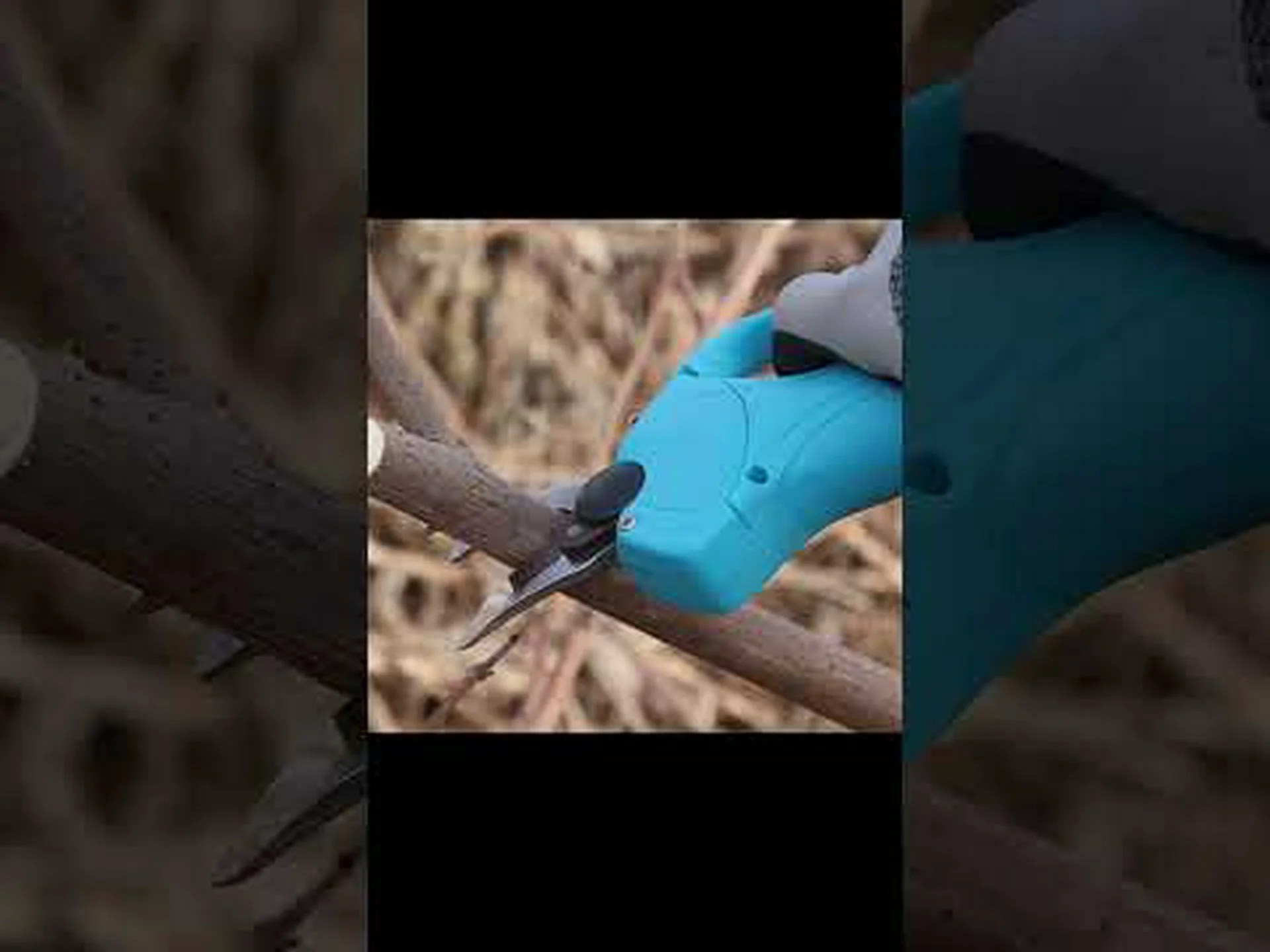 剪定はさみ 剪定はさみ