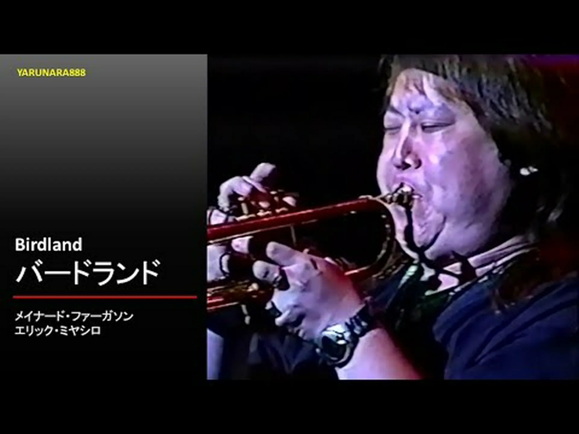 巻きひげのあるビニョーネ、オレンジのビニョーネ、バージニアのトランペット 巻きひげのあるビニョーネ、オレンジのビニョーネ、バージニアのトランペット