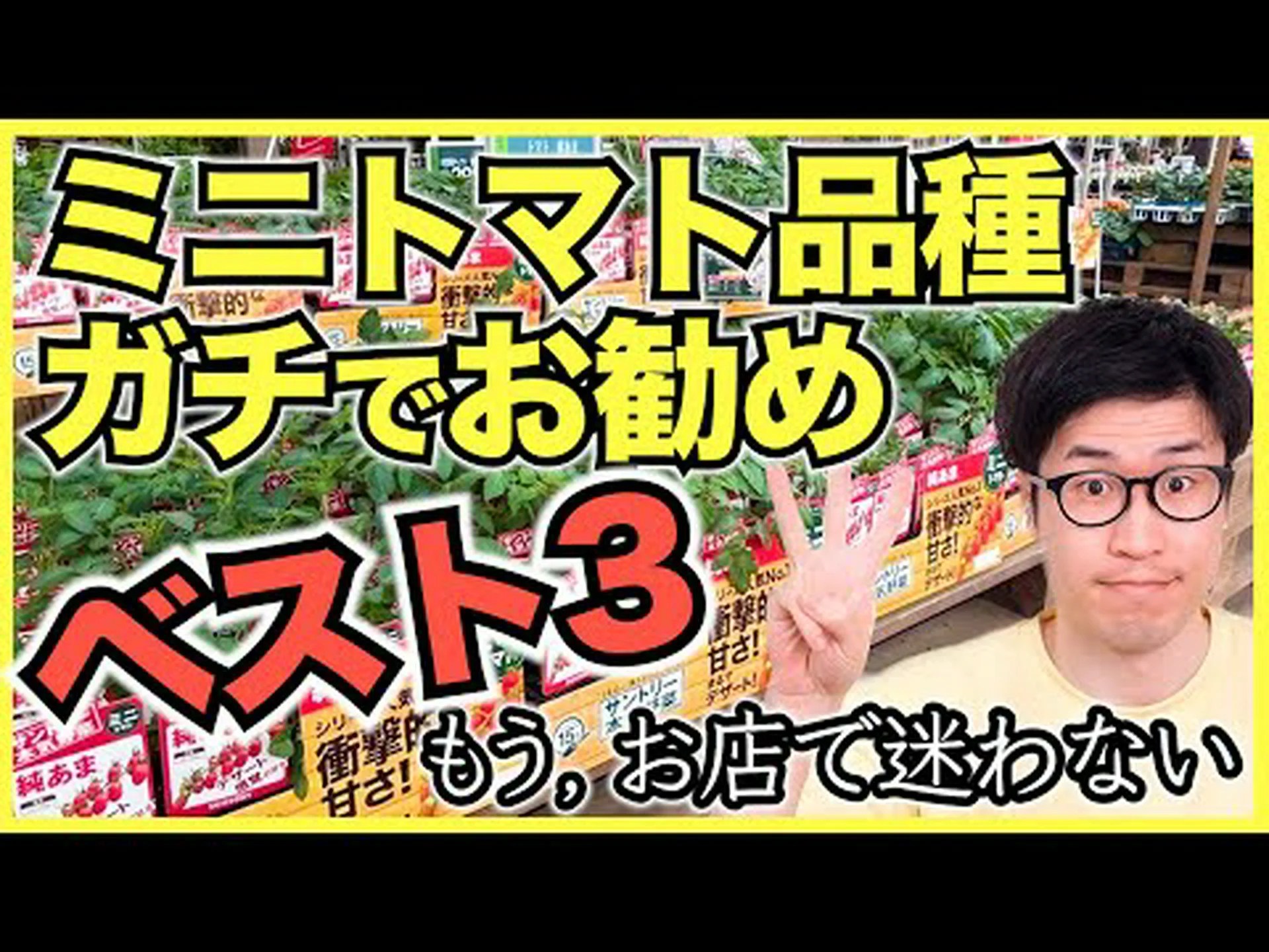 さまざまな品種のトマト さまざまな品種のトマト
