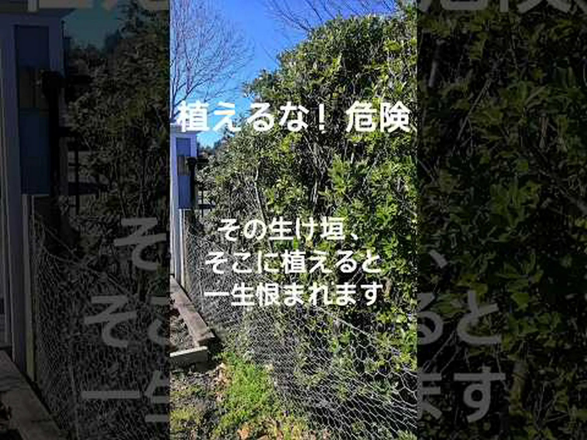 多様な生垣を植える 多様な生垣を植える