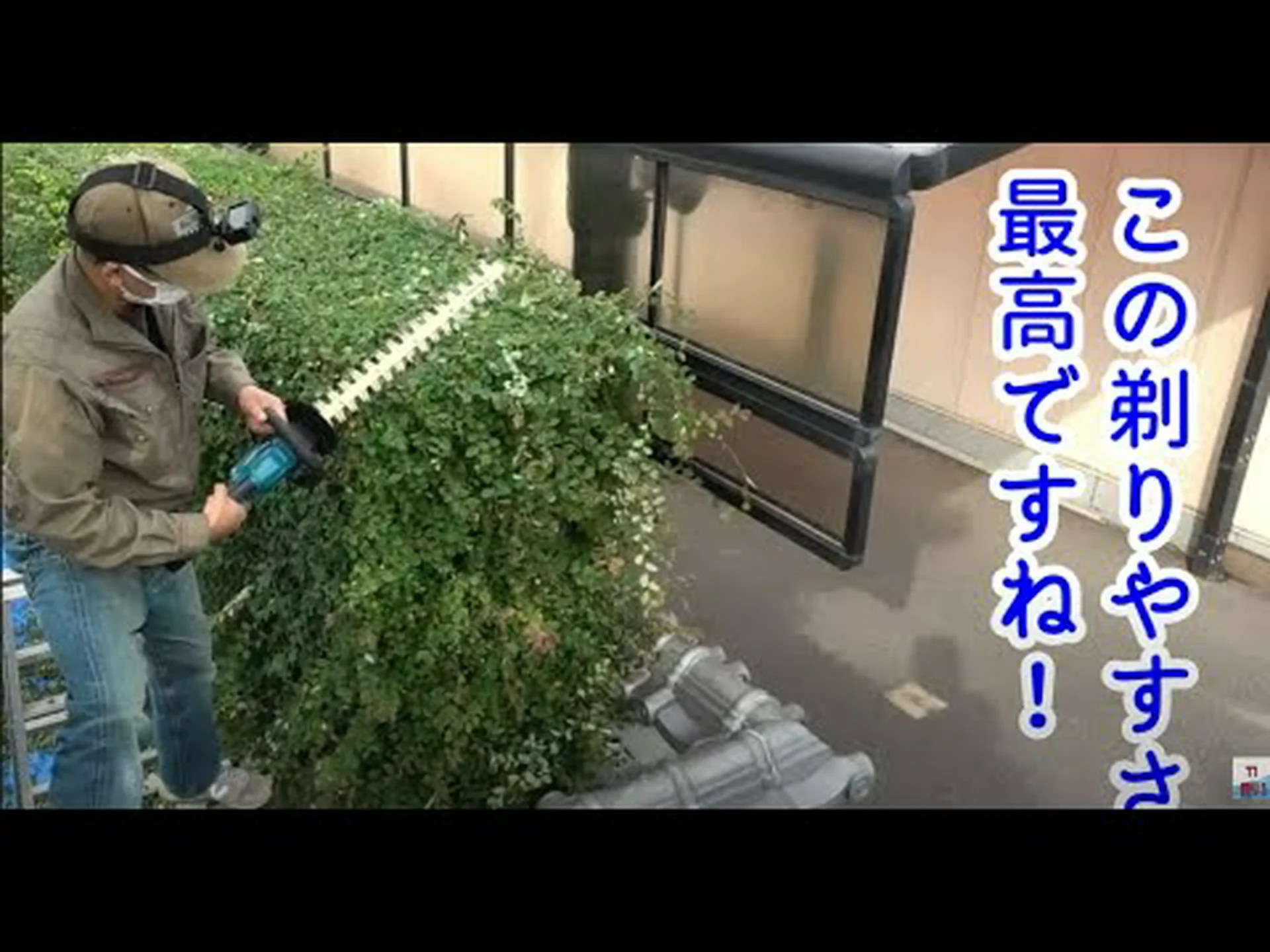 電動ヘッジトリマー: 正しい選択をしてください! 電動ヘッジトリマー: 正しい選択をしてください!