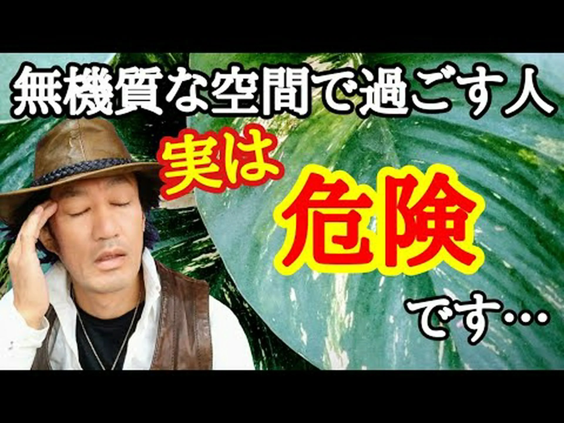 屋内汚染除去プラント 屋内汚染除去プラント