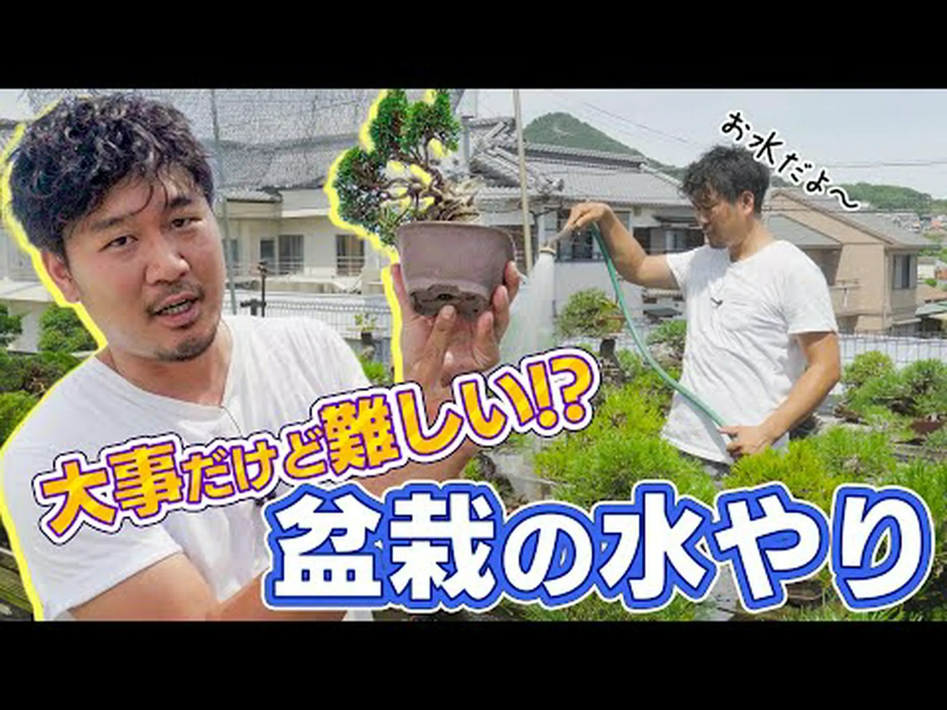 盆栽なら水やりが(ほぼ)すべてできます! 盆栽なら水やりが(ほぼ)すべてできます!