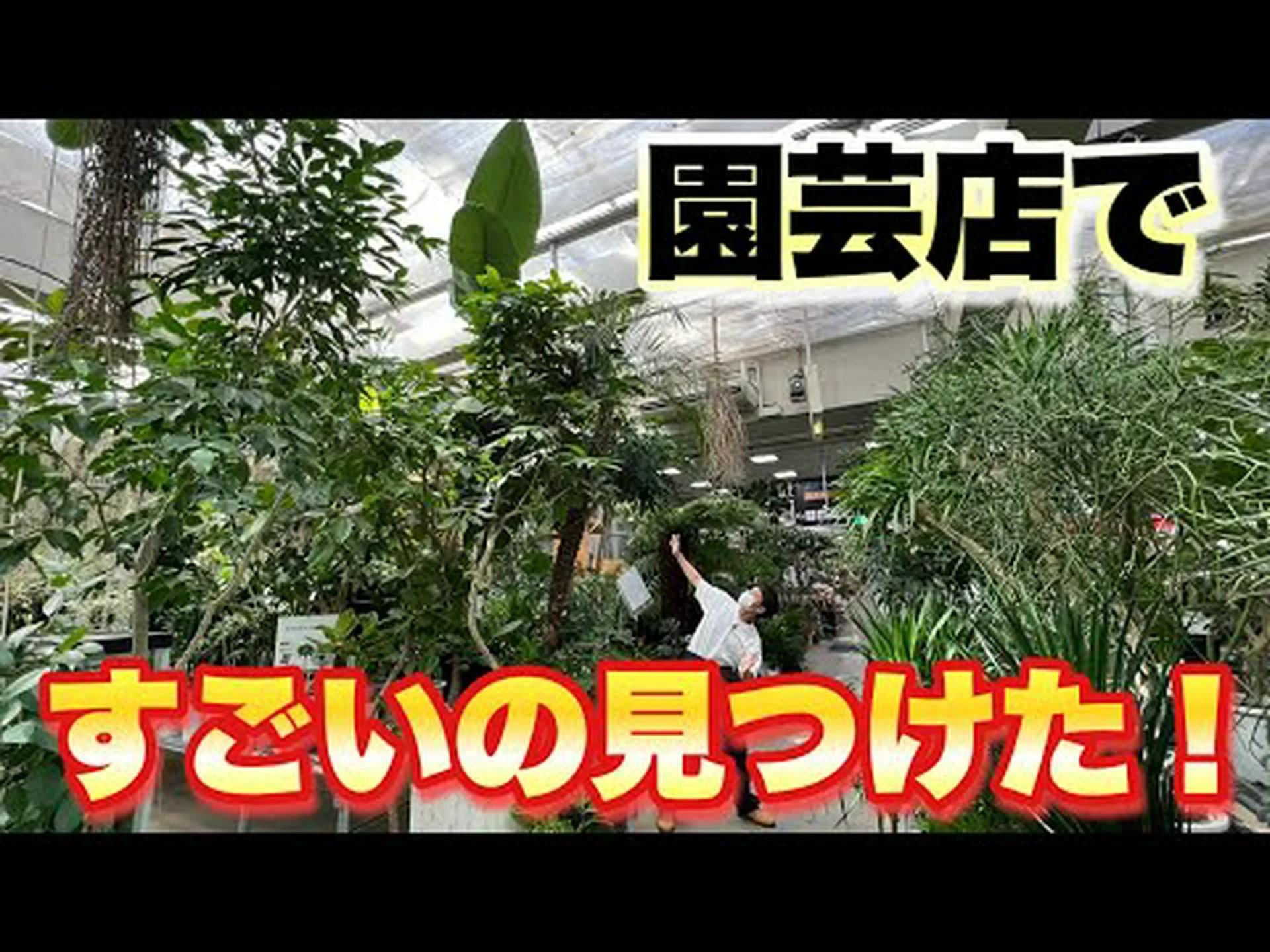 ペルーオカ、サワートリュフ ペルーオカ、サワートリュフ