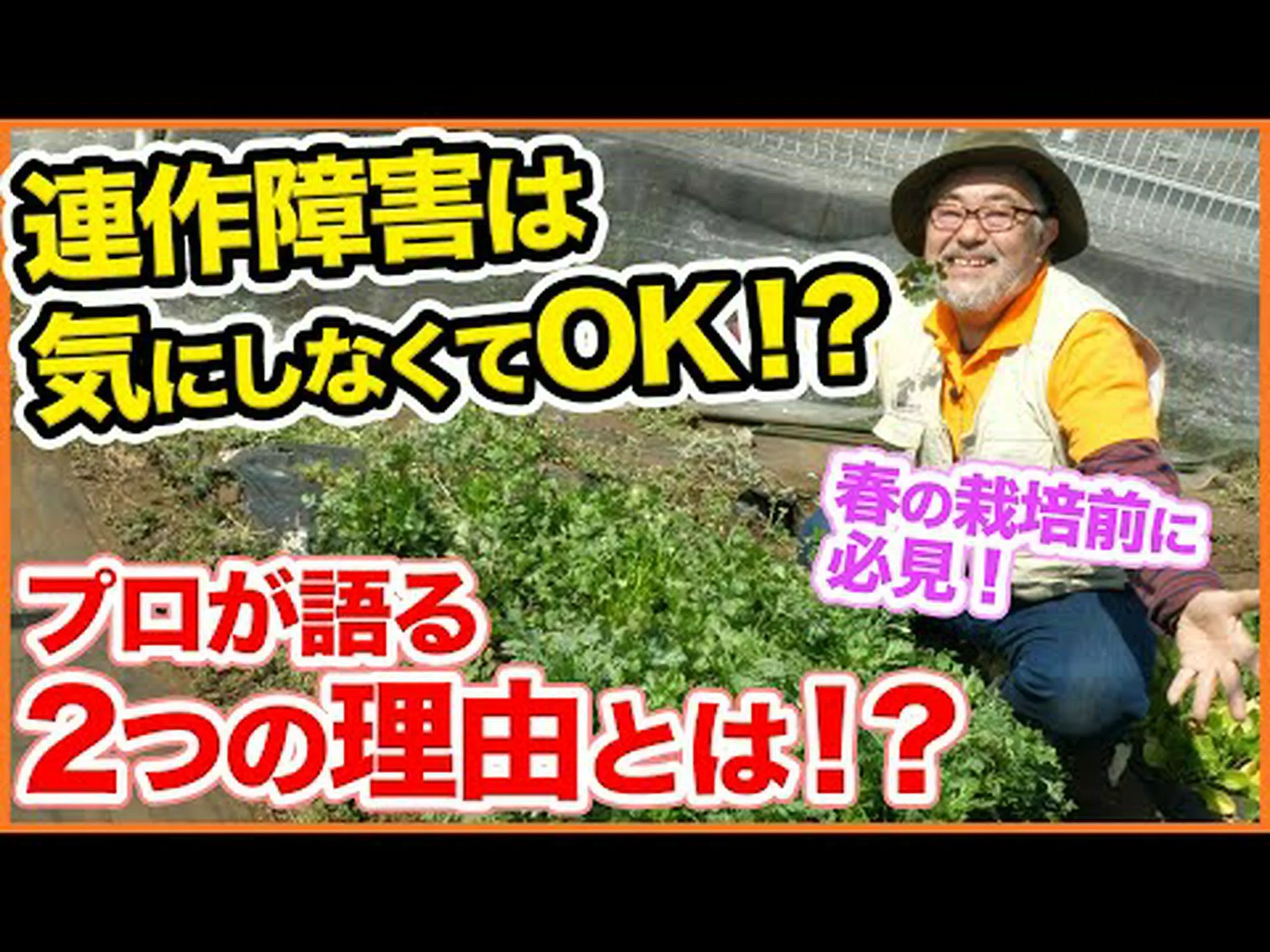 輪作を理解する 輪作を理解する