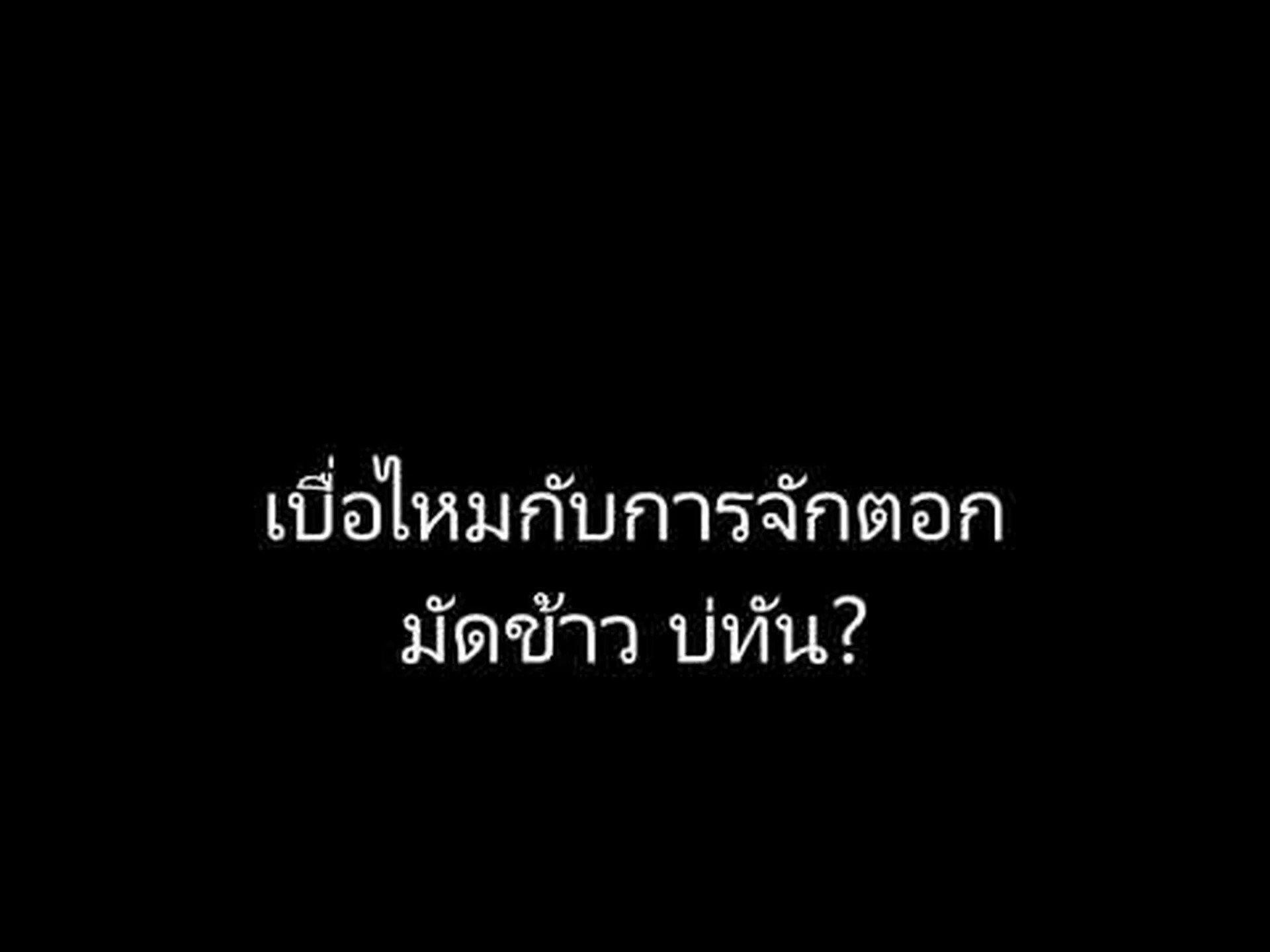 枝編み細工品 枝編み細工品