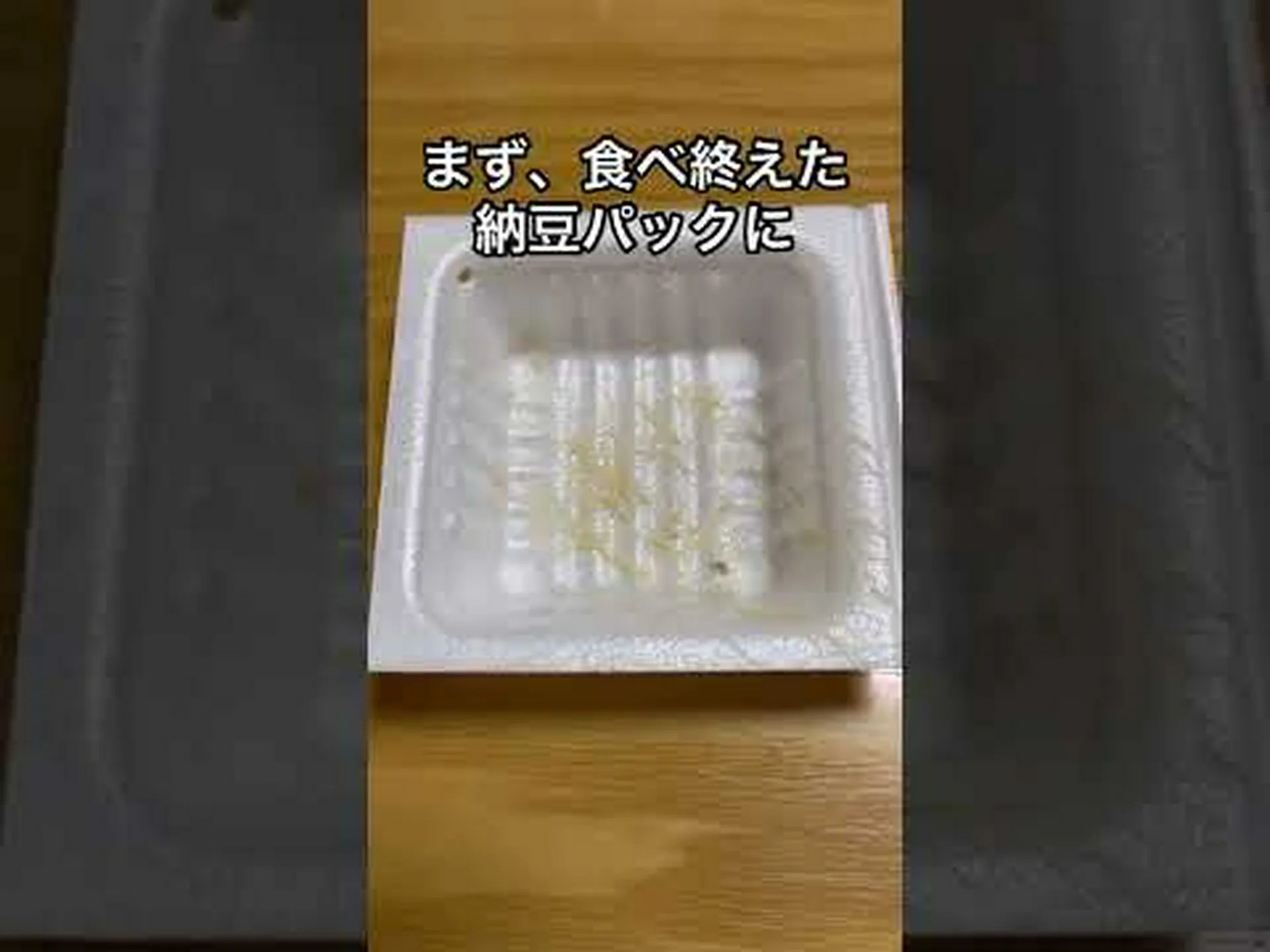 ハミルトン炭 ハミルトン炭