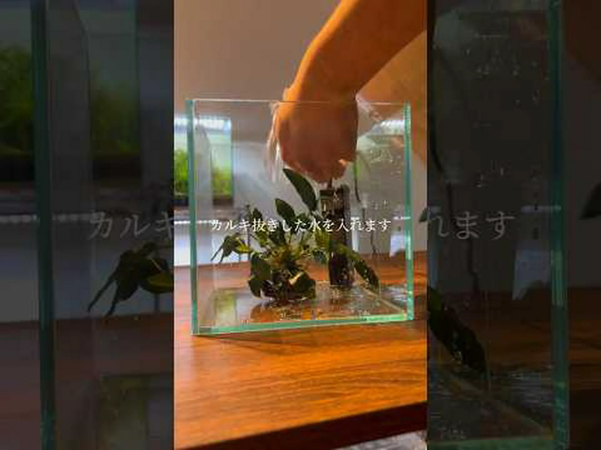 アクアスケープ、最良の方法 アクアスケープ、最良の方法