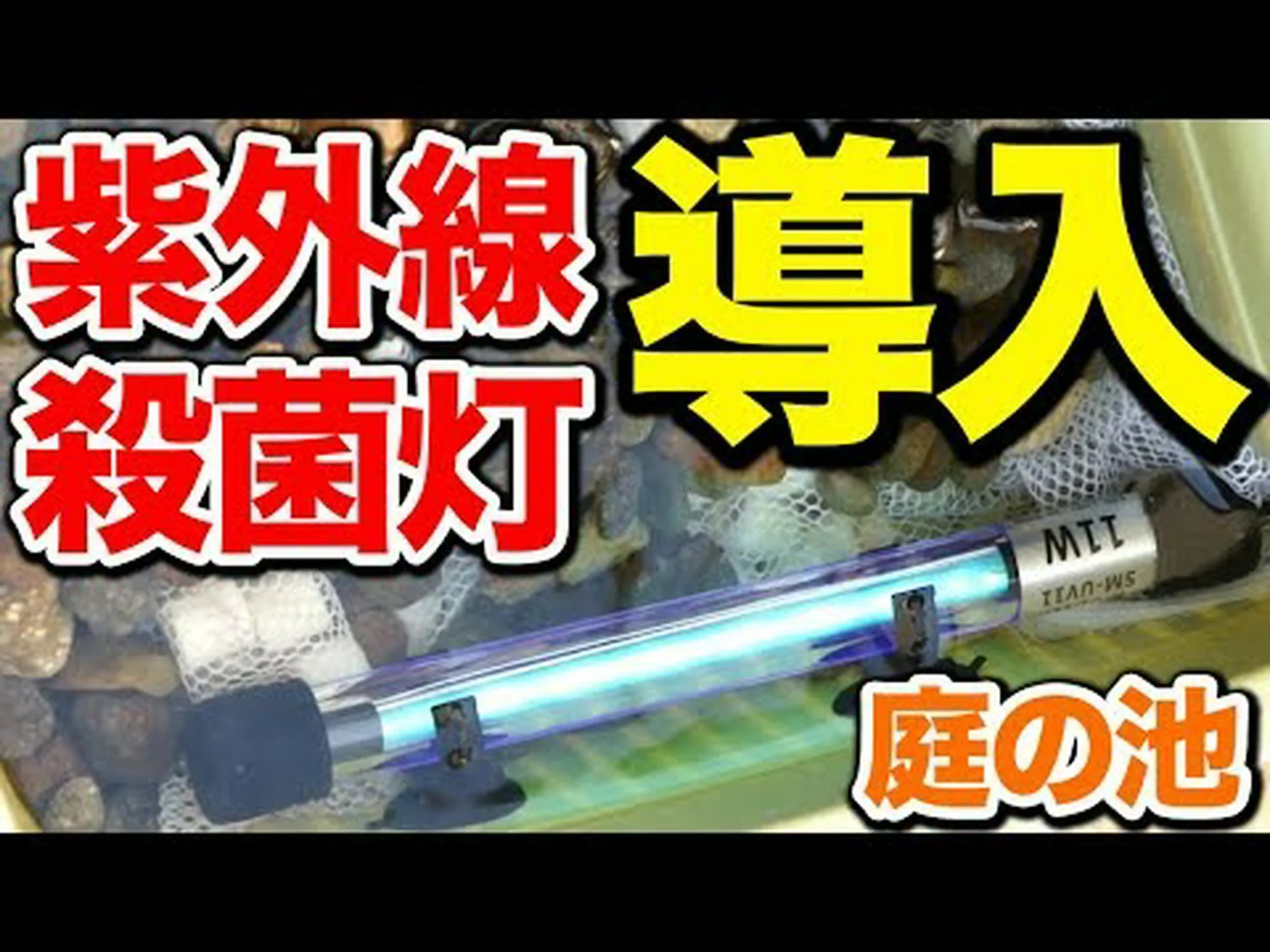 池の紫外線濾過 池の紫外線濾過