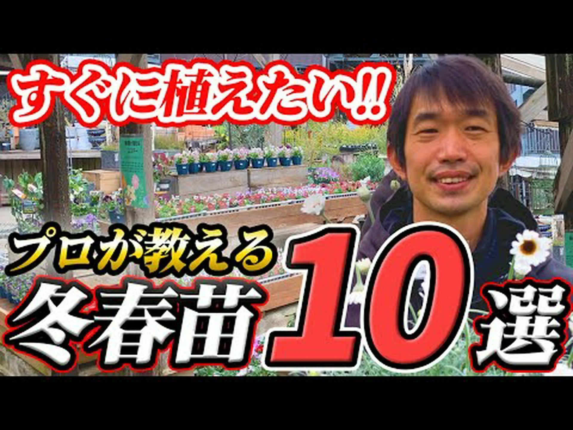 冬の花10選 冬の花10選