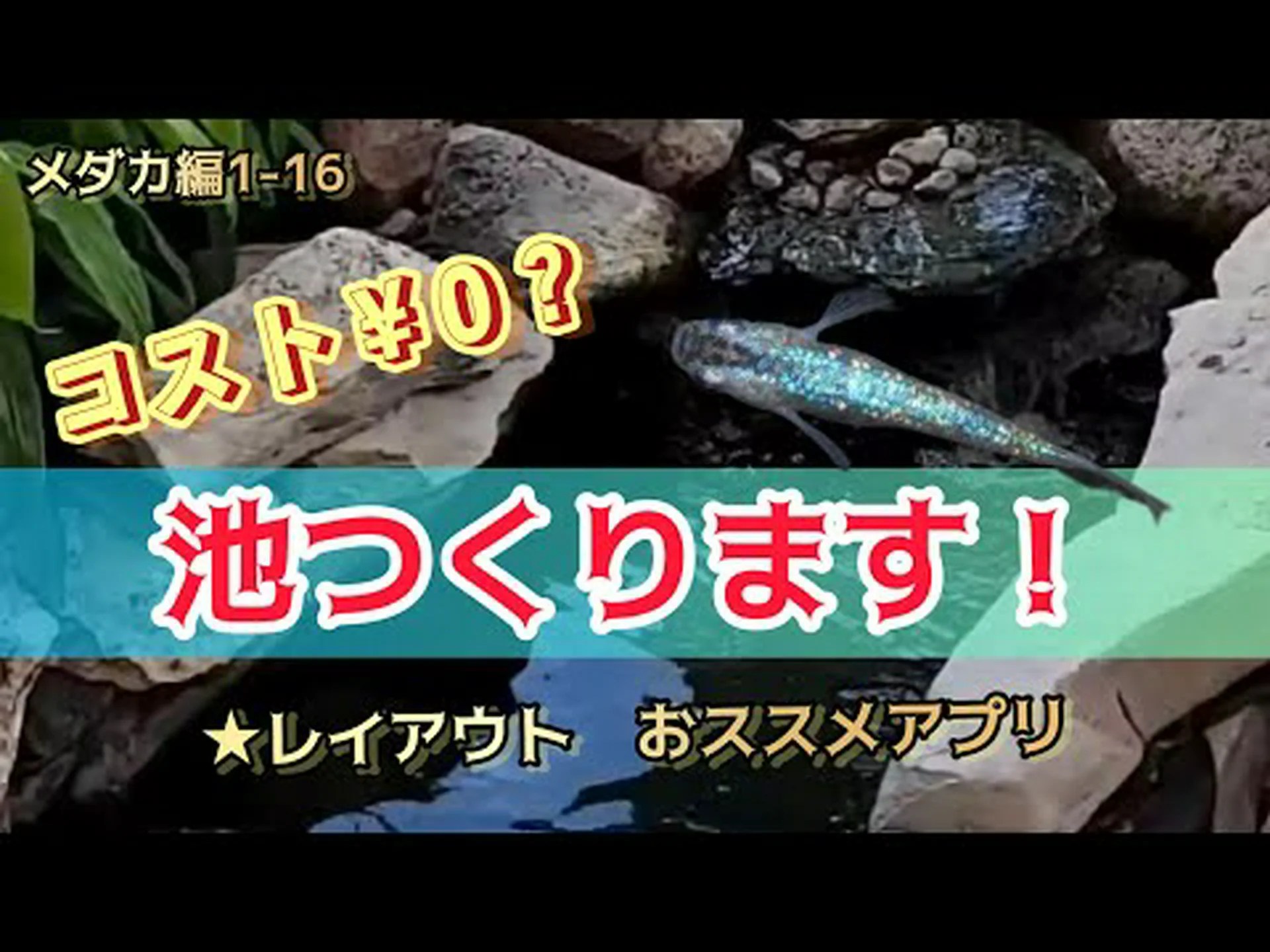 小さな庭の池の作り方は? 小さな庭の池の作り方は?