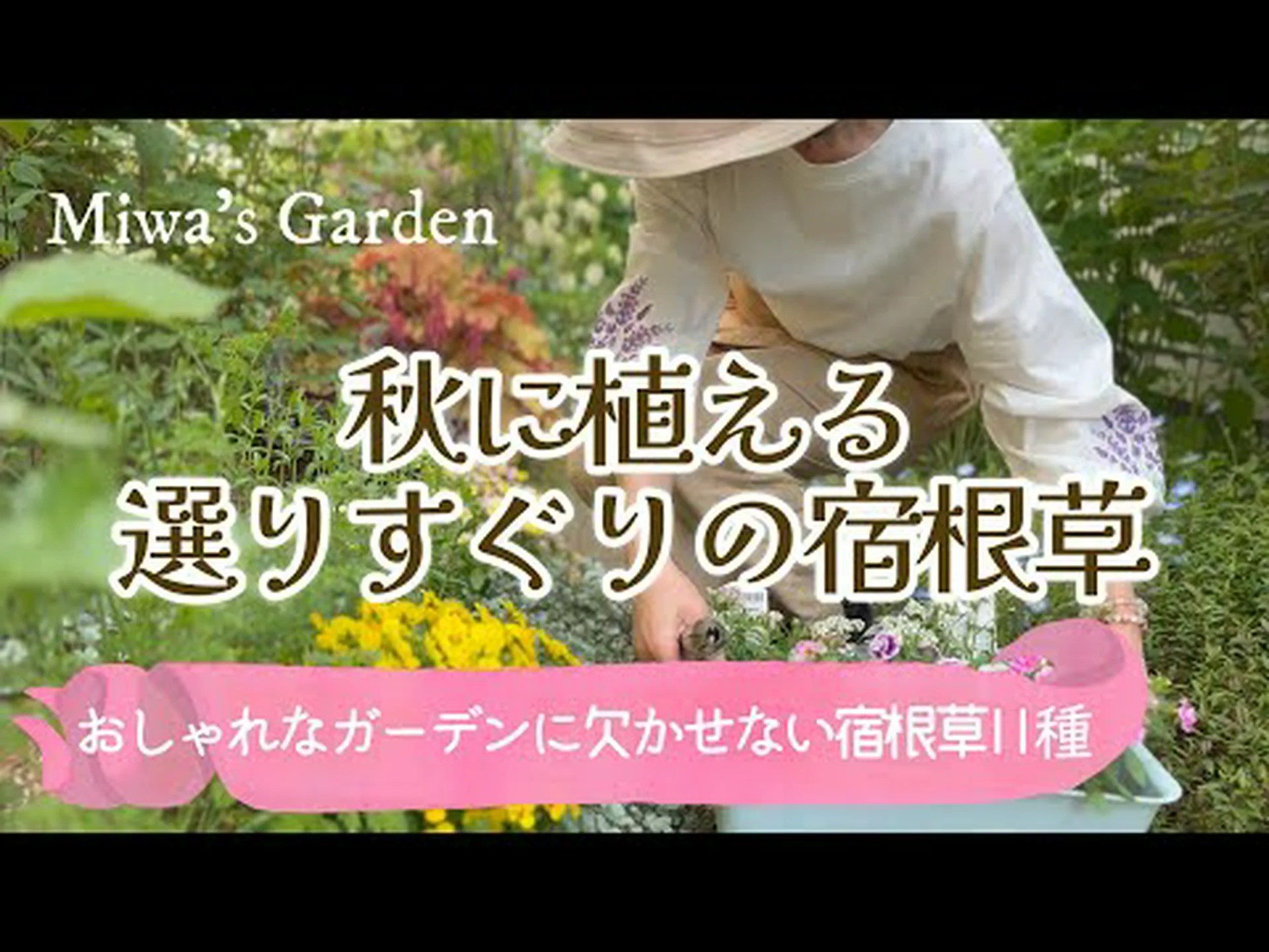 一年生植物と多年草 一年生植物と多年草