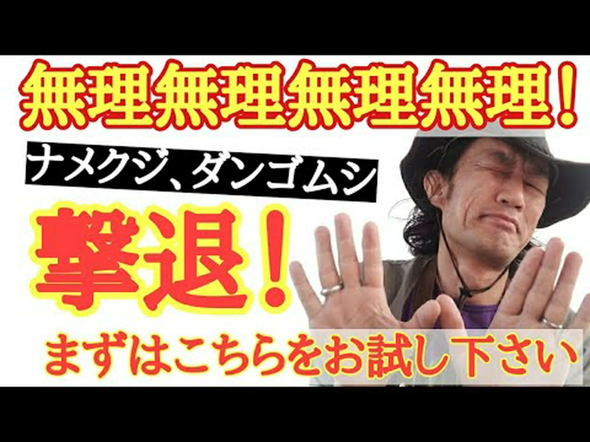 バググロス、ガチョウの舌、マムシ草 バググロス、ガチョウの舌、マムシ草