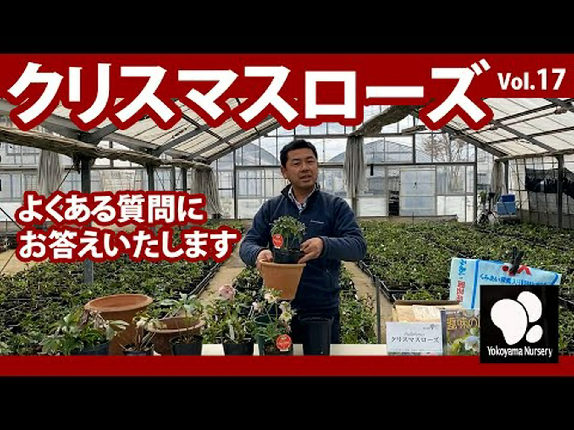 クリスマスツリーに関するよくある質問 クリスマスツリーに関するよくある質問