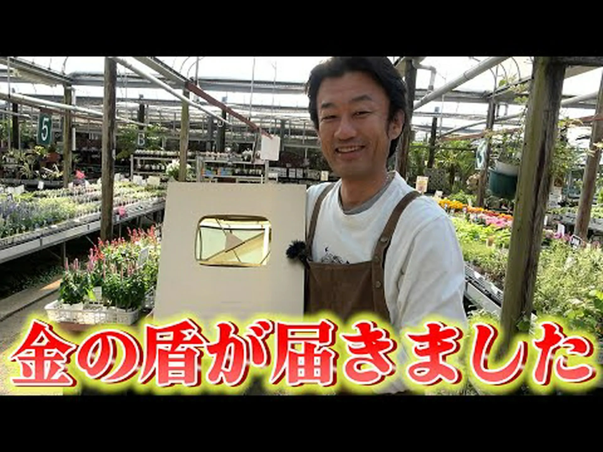 ペルシャの盾 ペルシャの盾