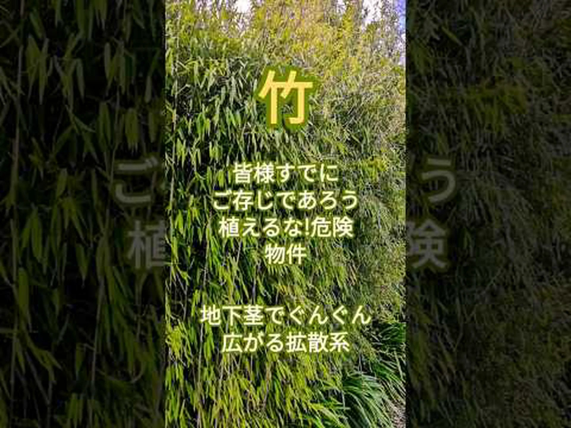 エリニャック庭園の起源 エリニャック庭園の起源