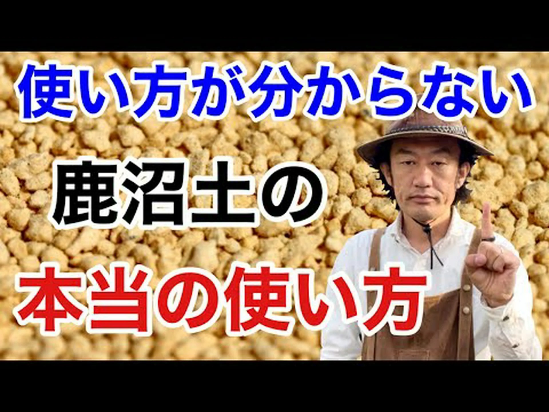 モール山塊 (83) モール山塊 (83)