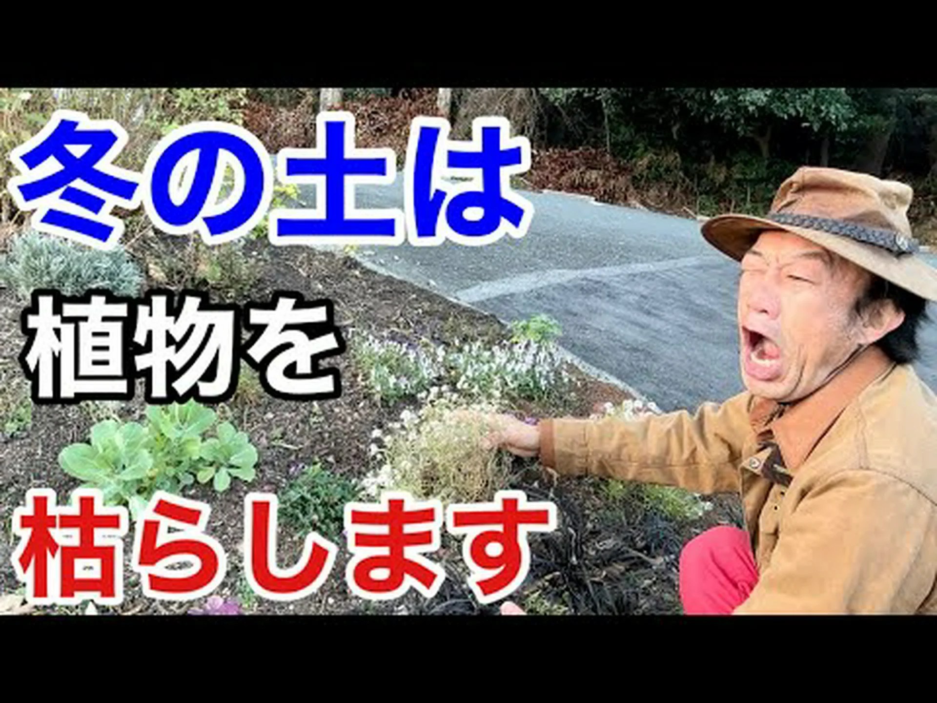 なぜ土壌をマルチングするのでしょうか? なぜ土壌をマルチングするのでしょうか?