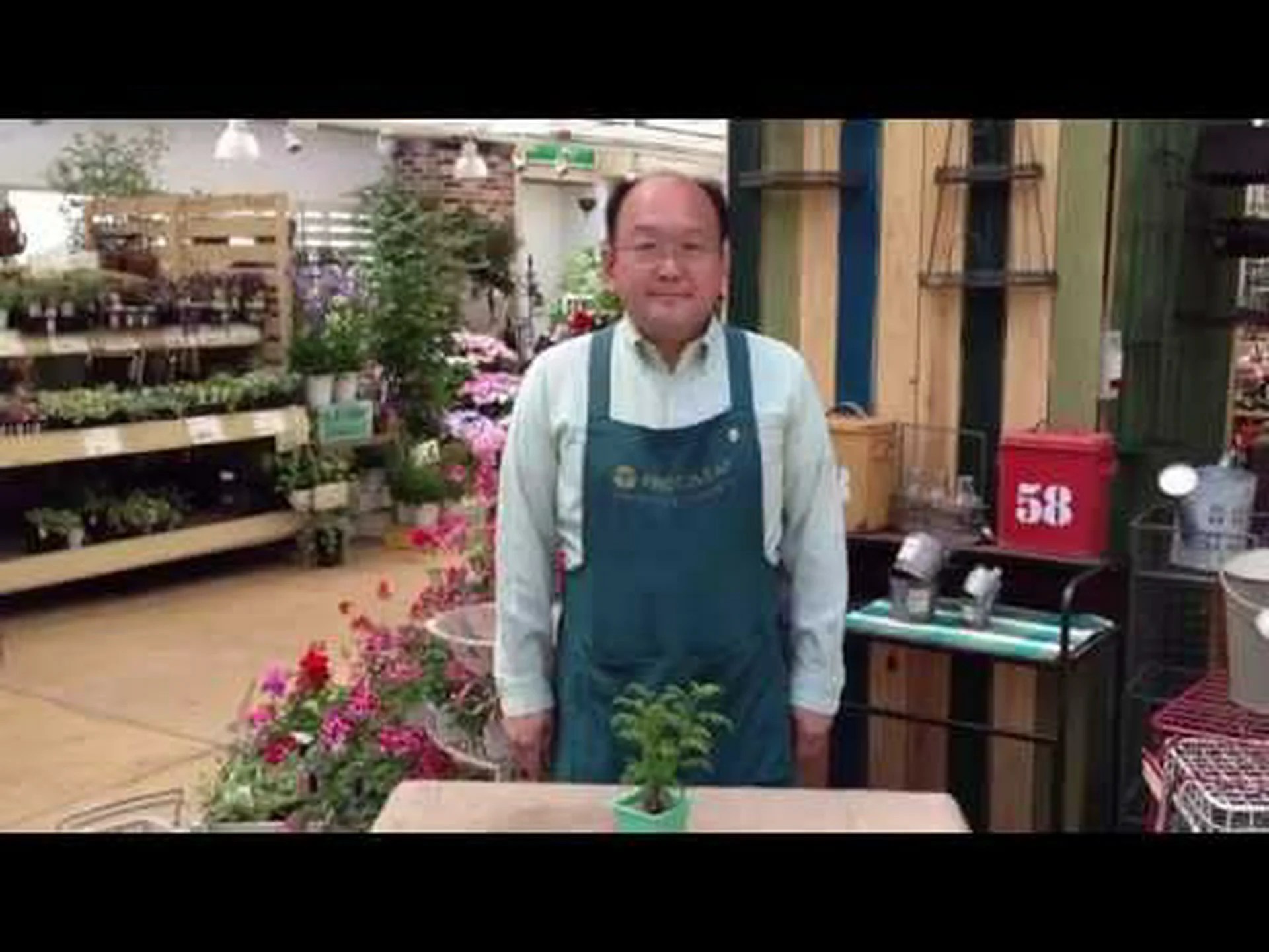 四川山椒の栽培と維持 四川山椒の栽培と維持