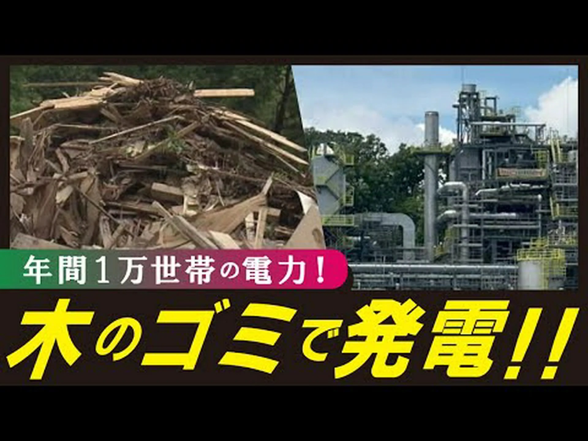 緑の廃棄物とバイオマスの輸出 緑の廃棄物とバイオマスの輸出