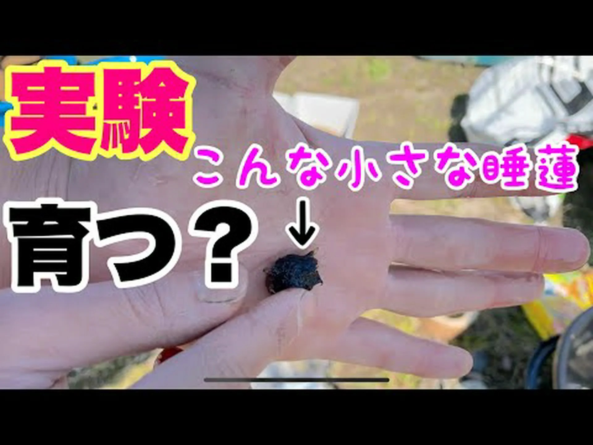 フェイクスイレン、小さなふわふわスイレン フェイクスイレン、小さなふわふわスイレン