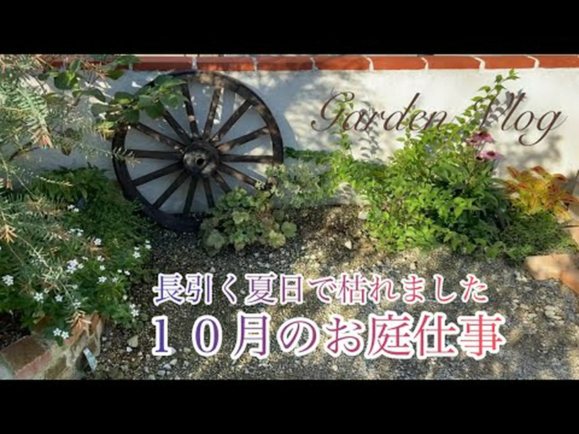 春の一年生の花と球根 春の一年生の花と球根