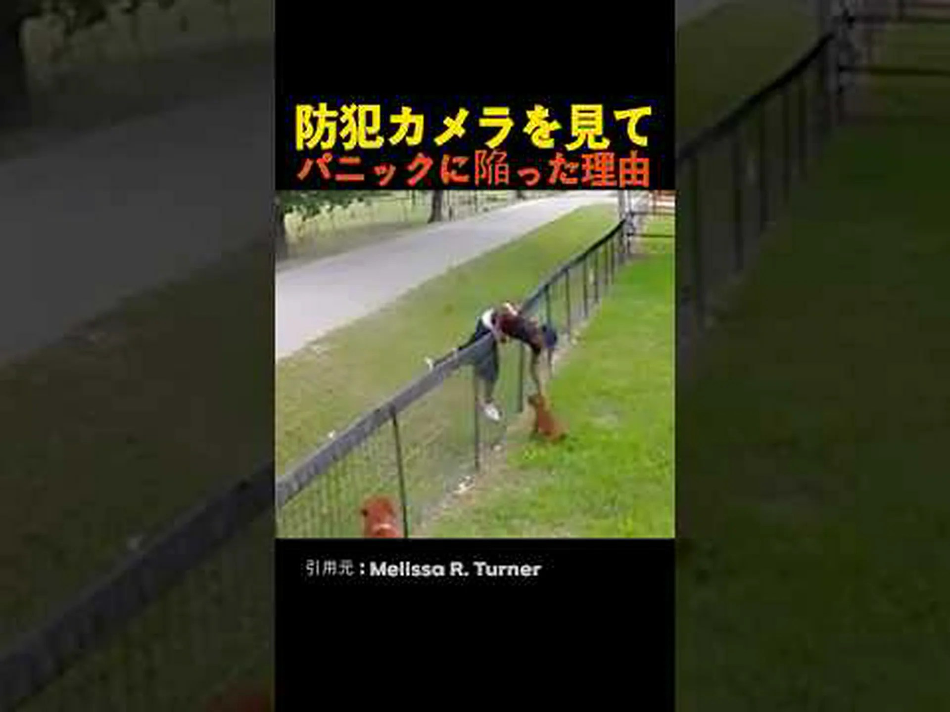 狩猟用カメラで庭を監視する 狩猟用カメラで庭を監視する