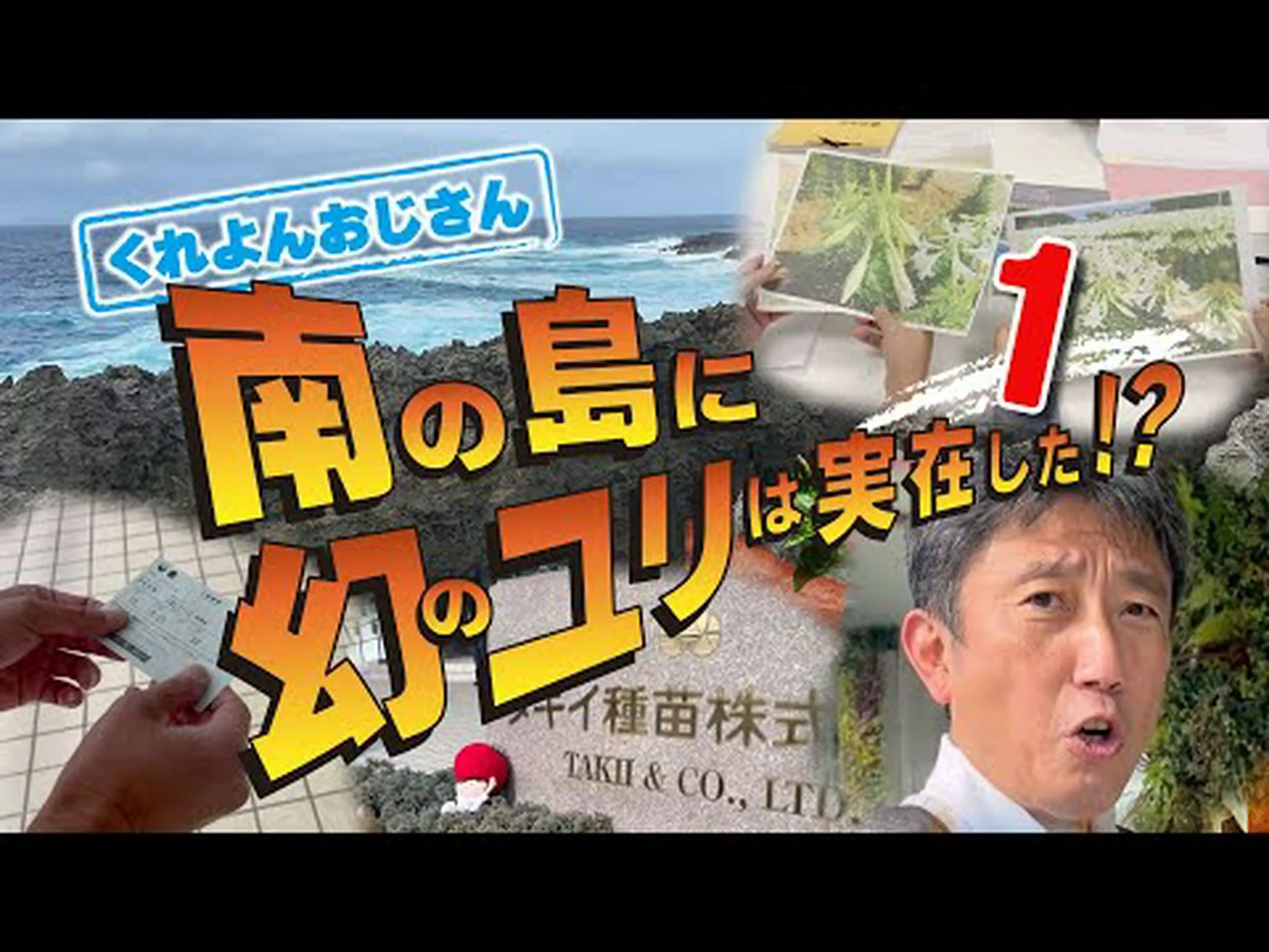 ゴジ、中国リシエット ゴジ、中国リシエット