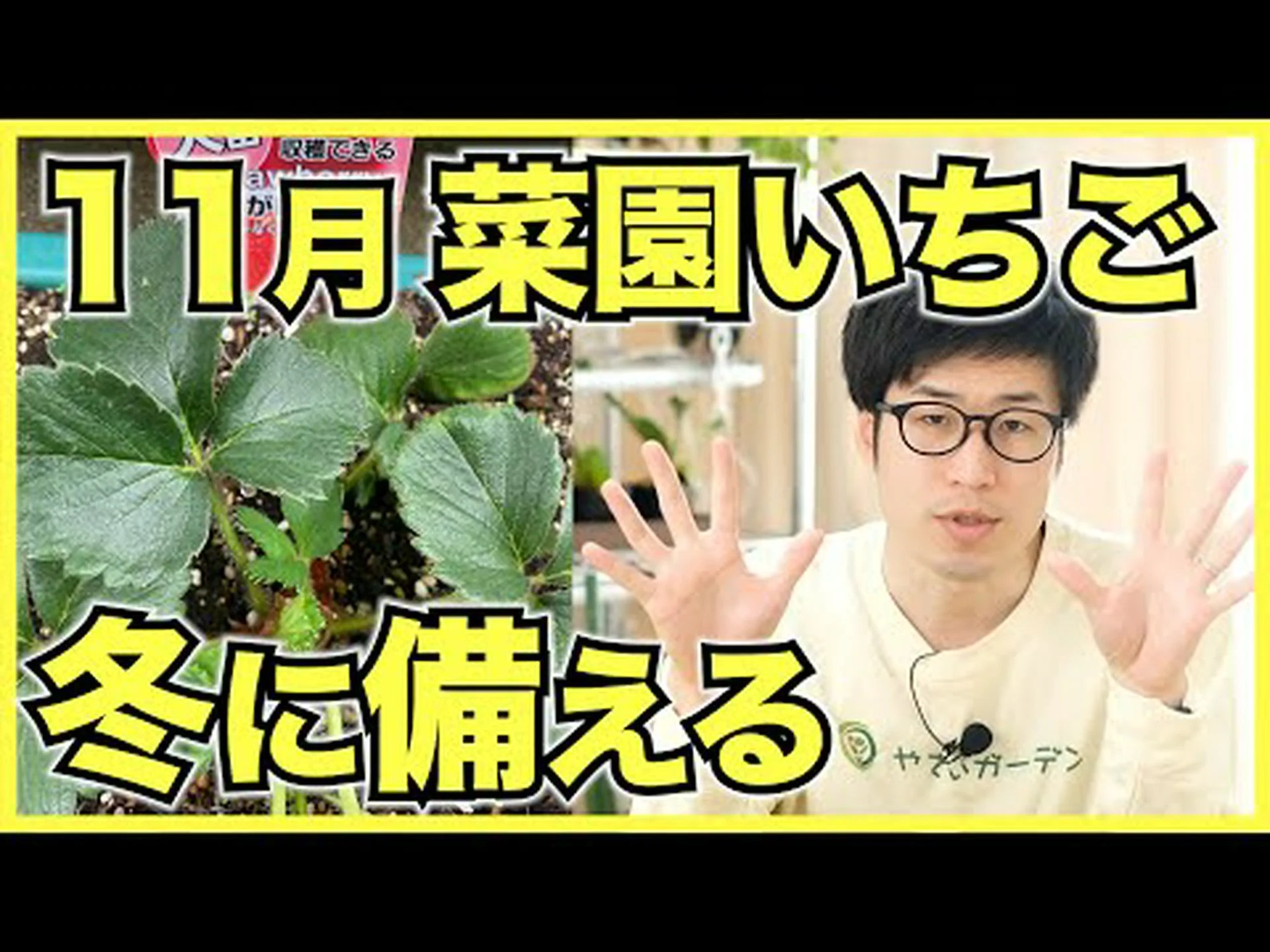 冬の果樹園では何をするのですか? 冬の果樹園では何をするのですか?