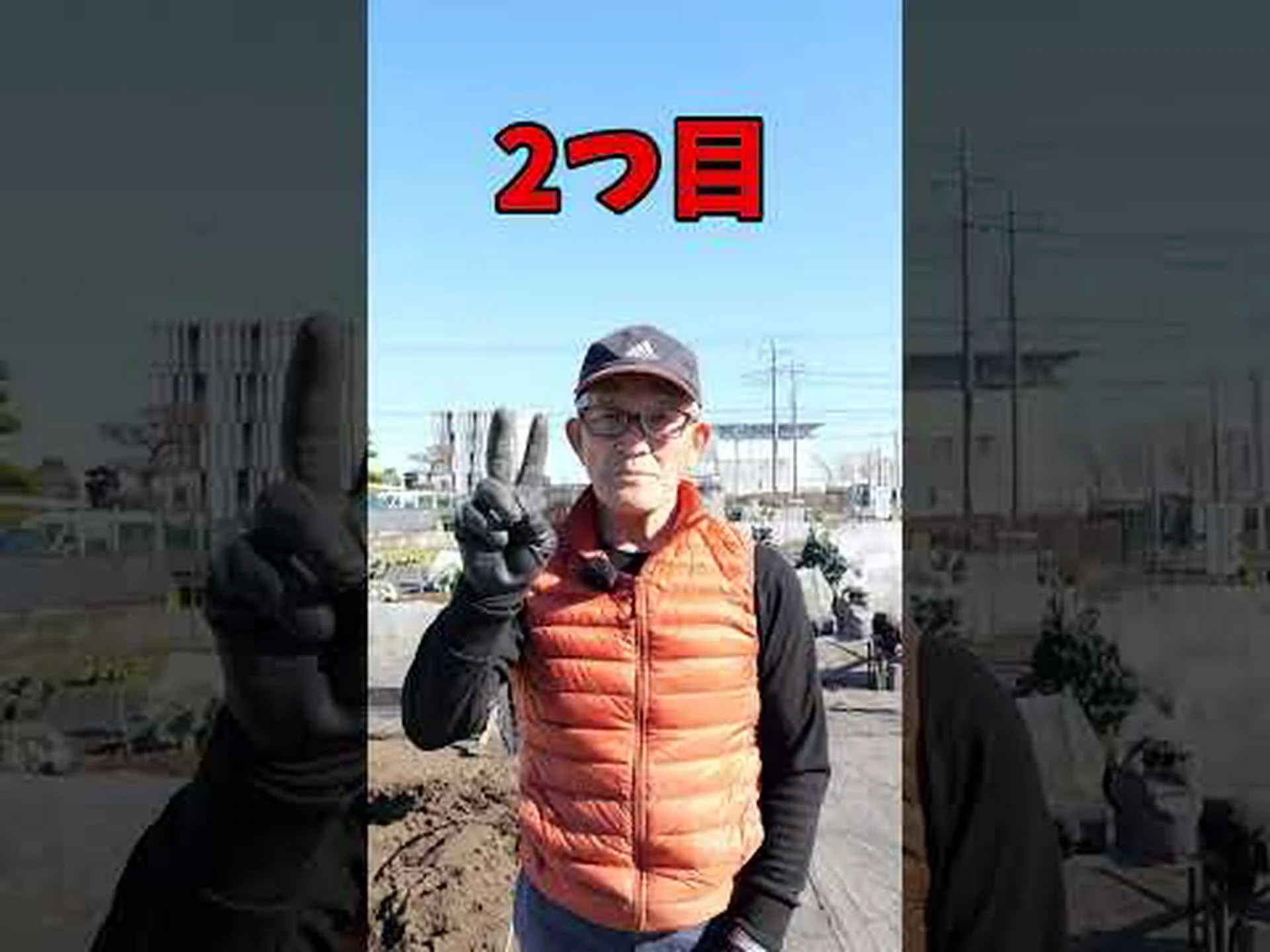 2つの作物の間の緑肥は何ですか? 2つの作物の間の緑肥は何ですか?